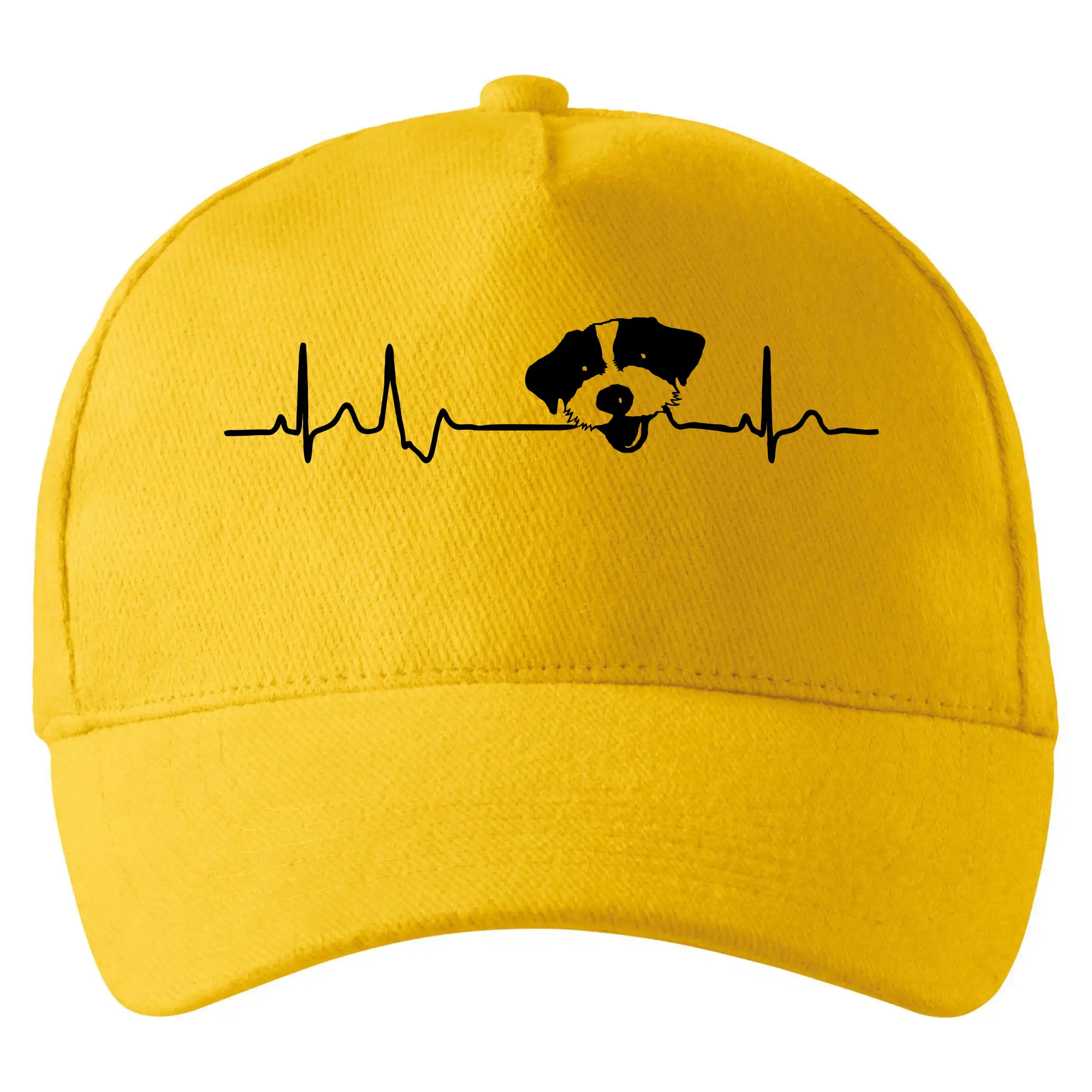 Jack Russell Terriér hrubosrstý Ekg