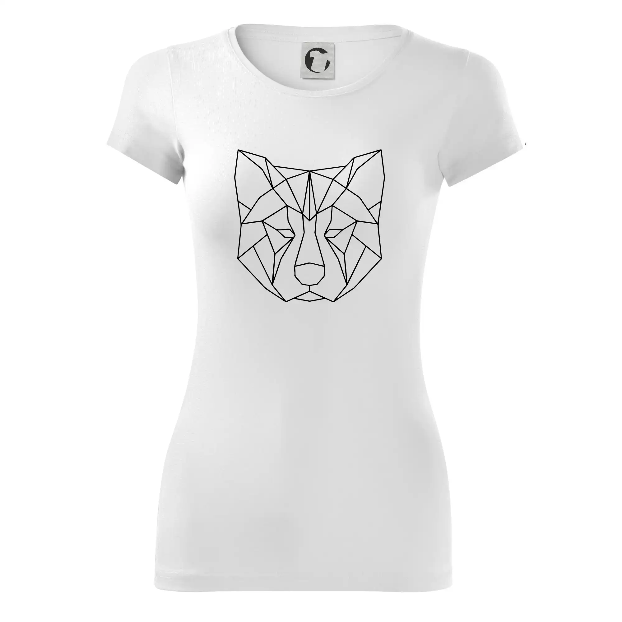 Akita Inu - Geometrie