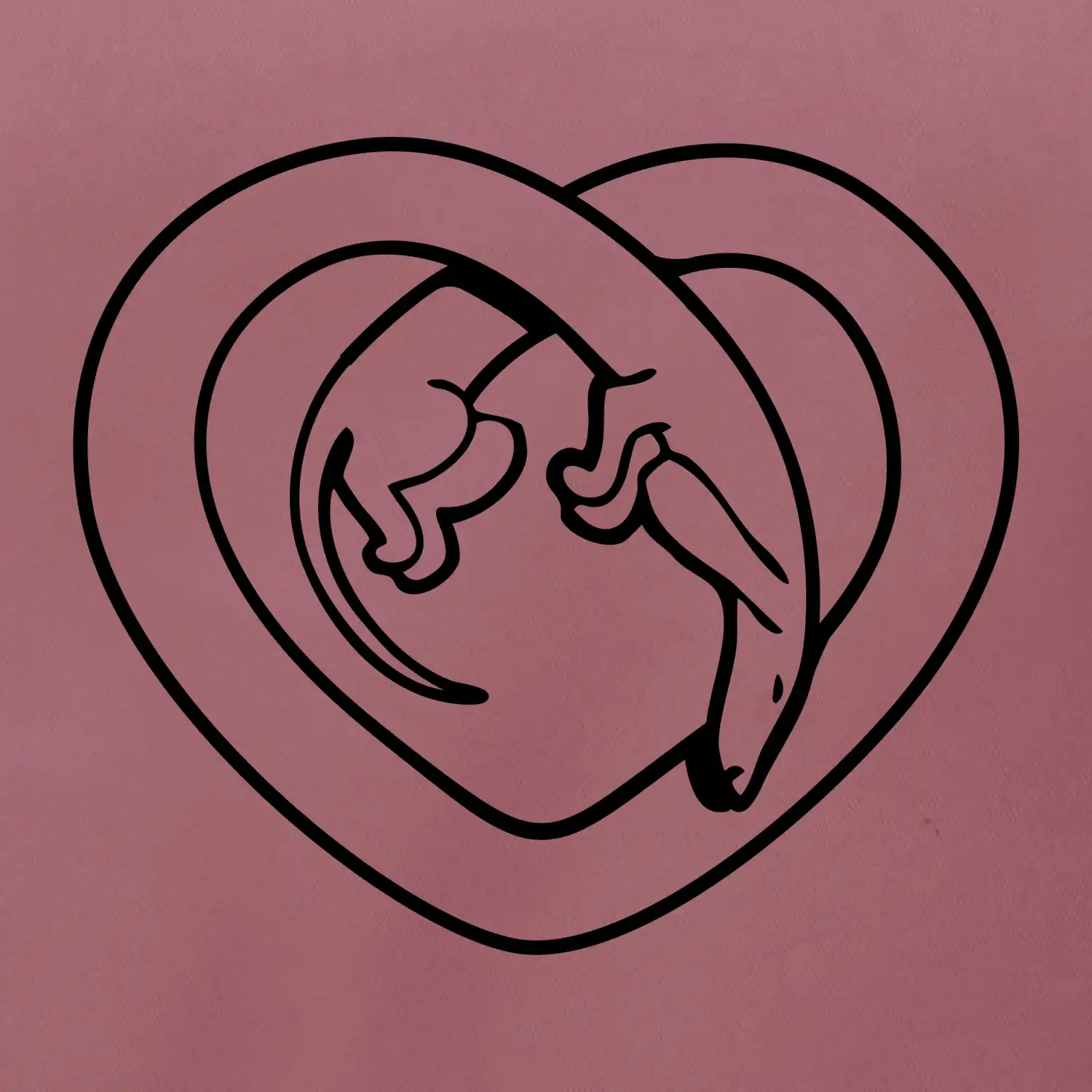 Jezevčík srdce - obrys