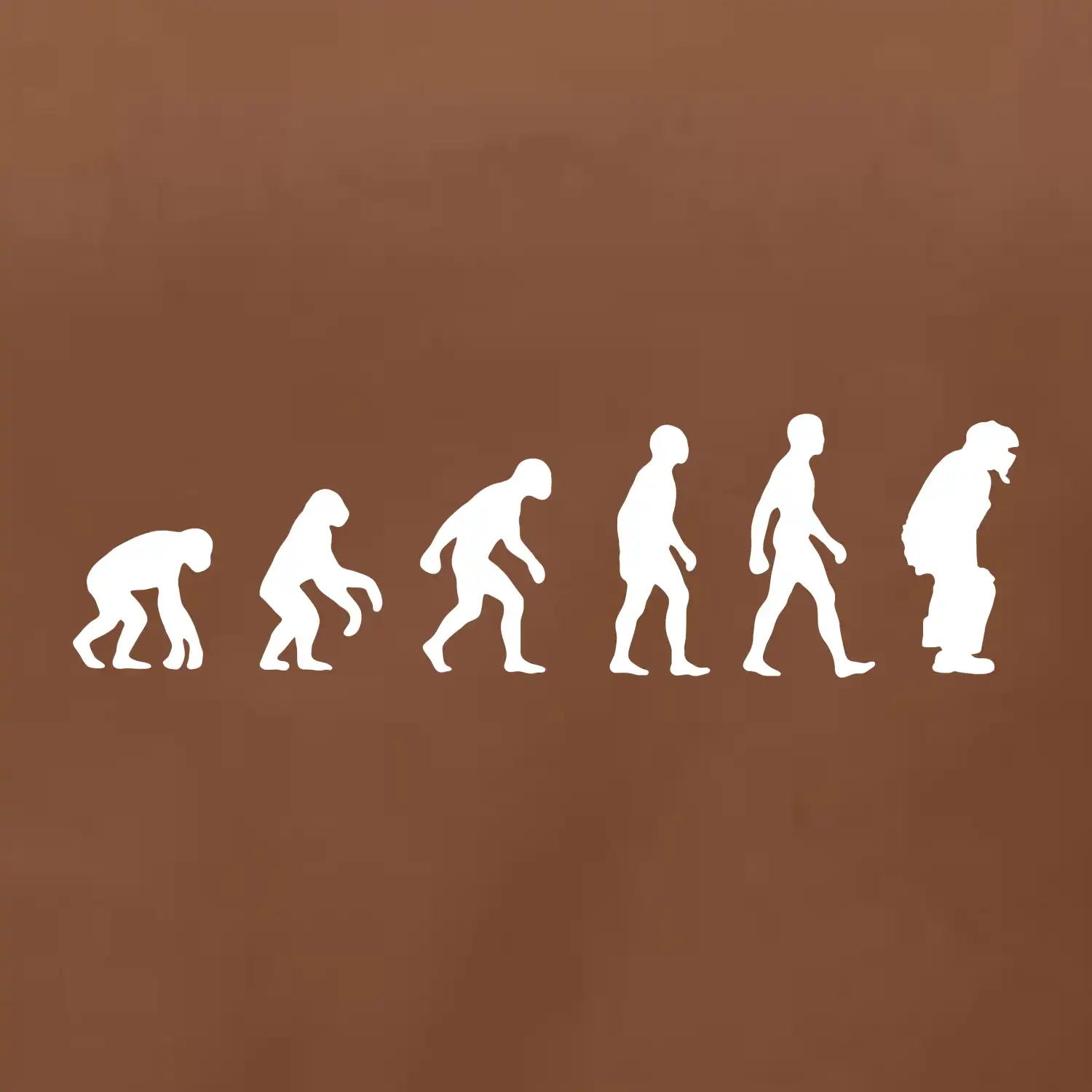 Evoluce baseball chytač