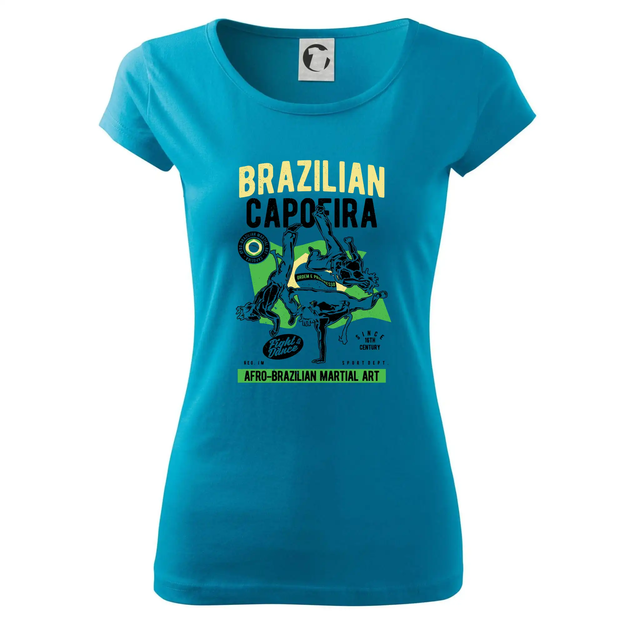Brazilian Capoeira