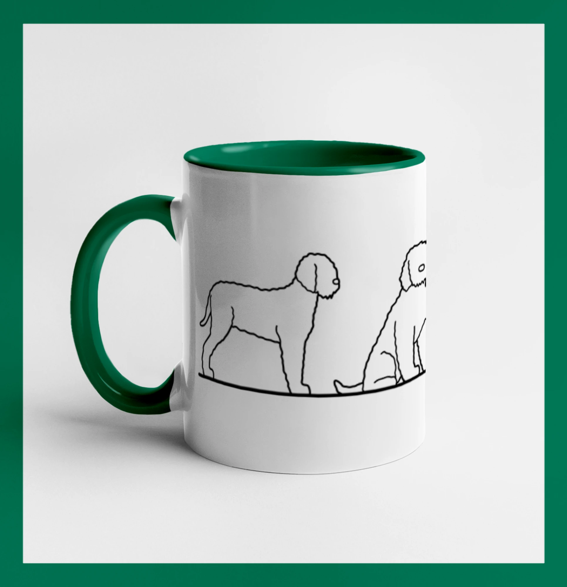 Lagotto romagnolo postavy linka