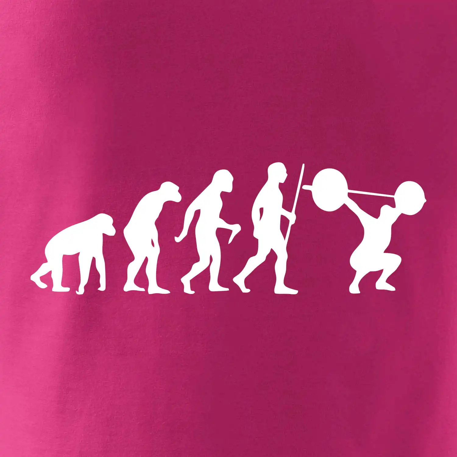 Evolution fitness