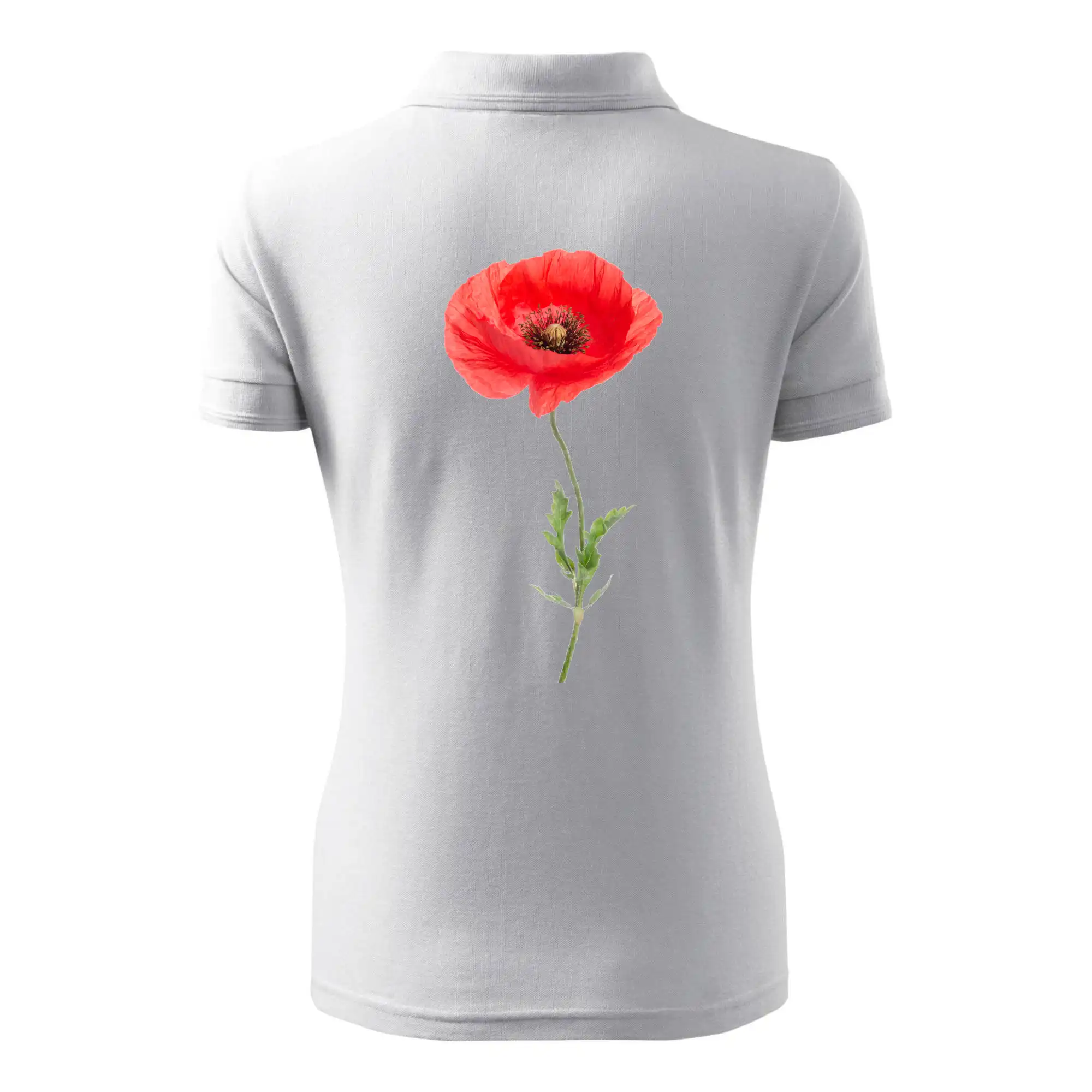 Vlčí mák - kreslený