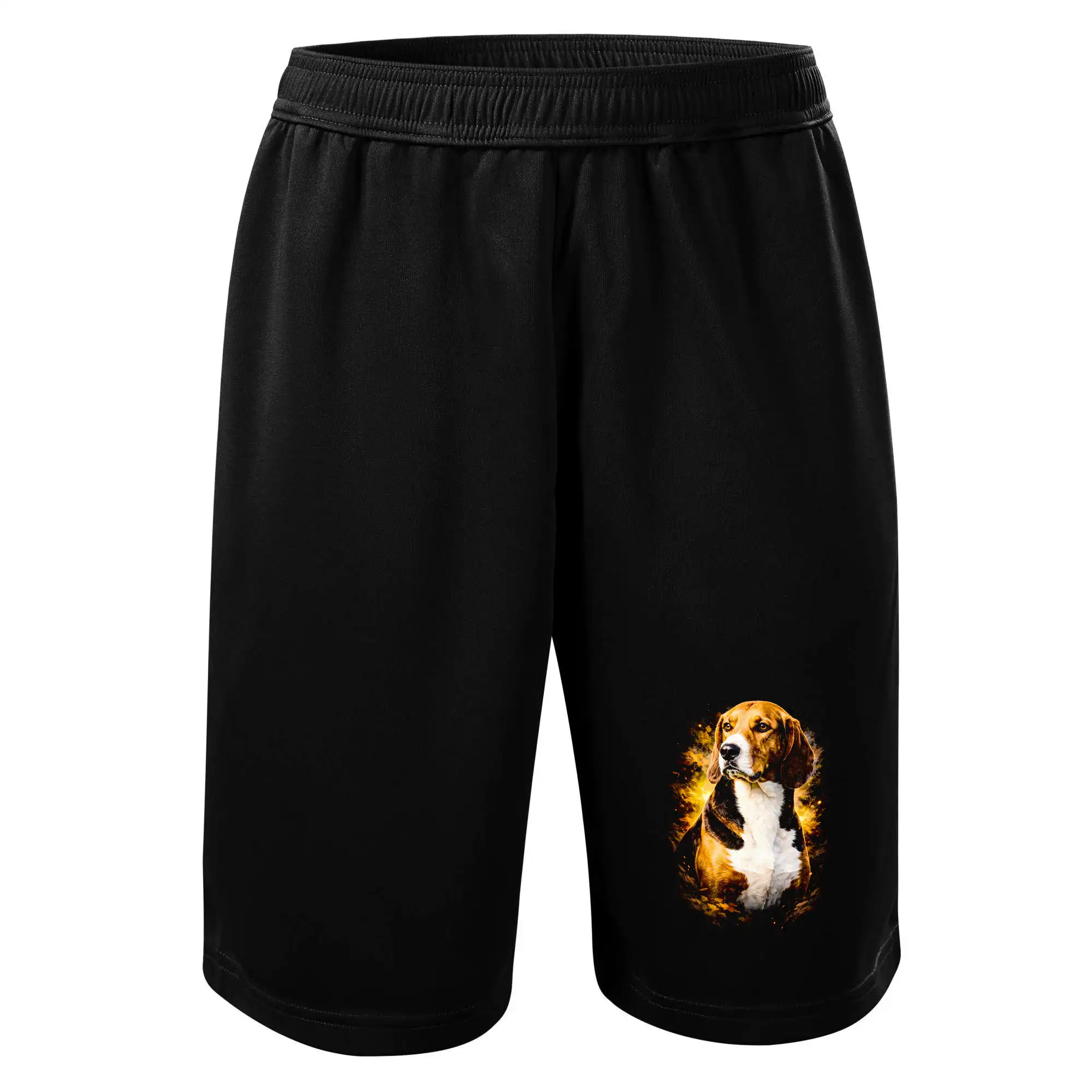 Obrázek polotón Bígl