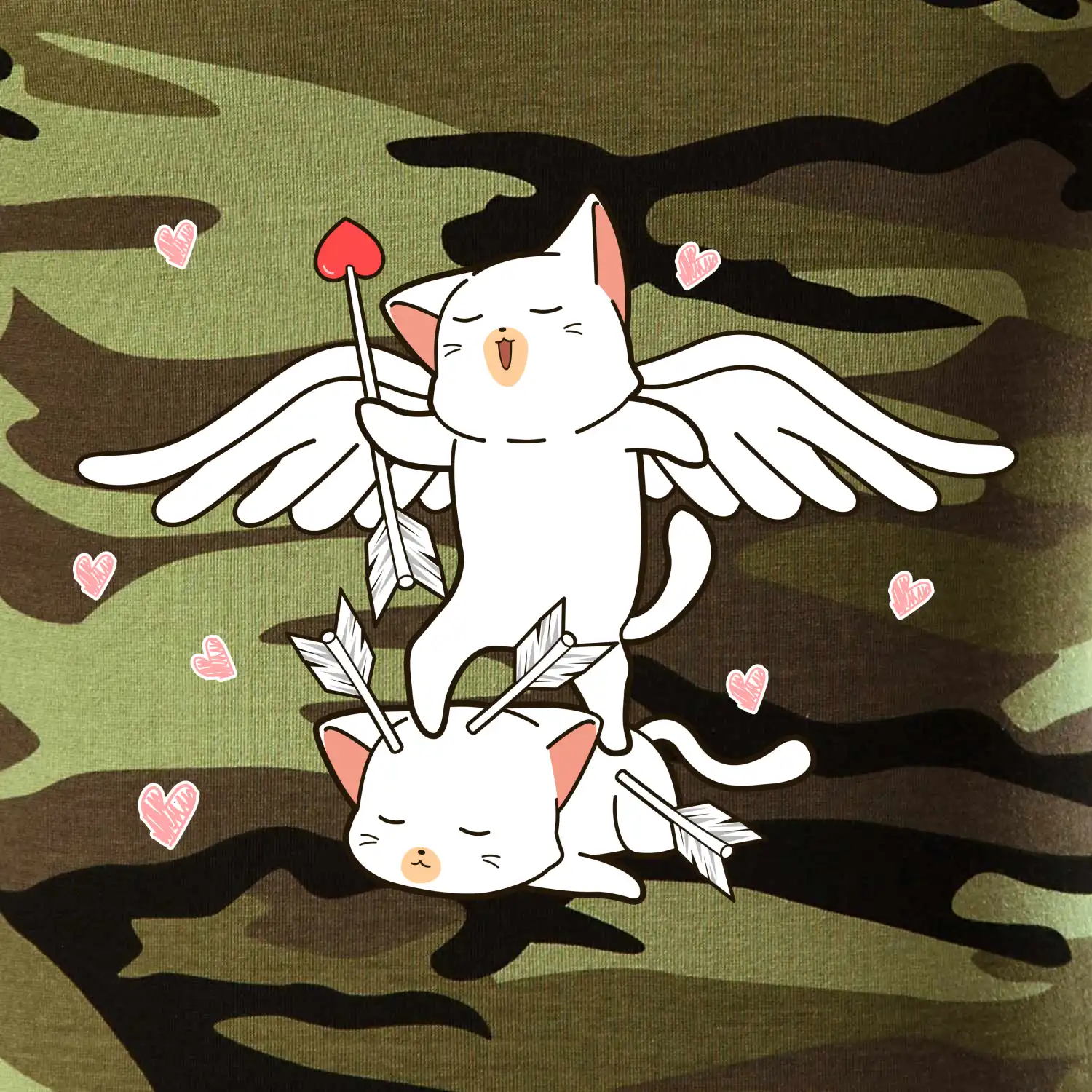 Kočky Amorův šíp