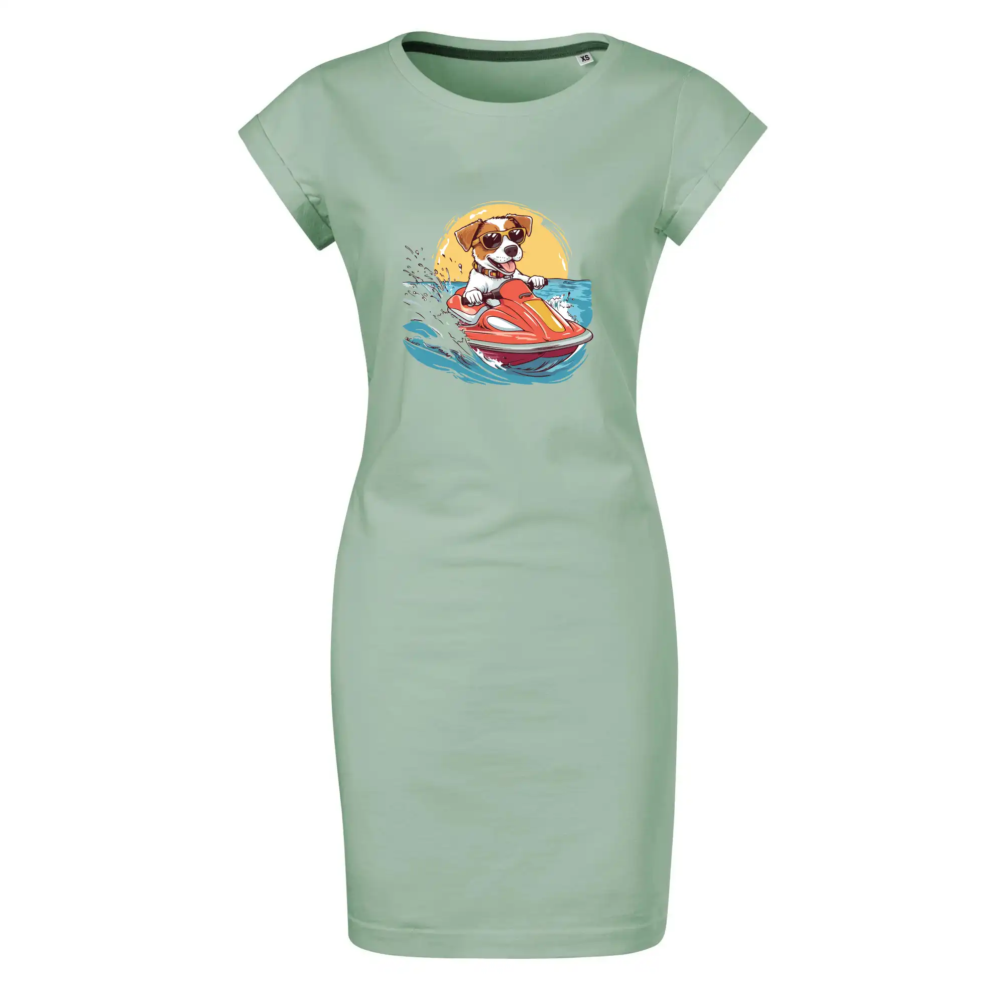 Jack russell teriér na vodním skútru