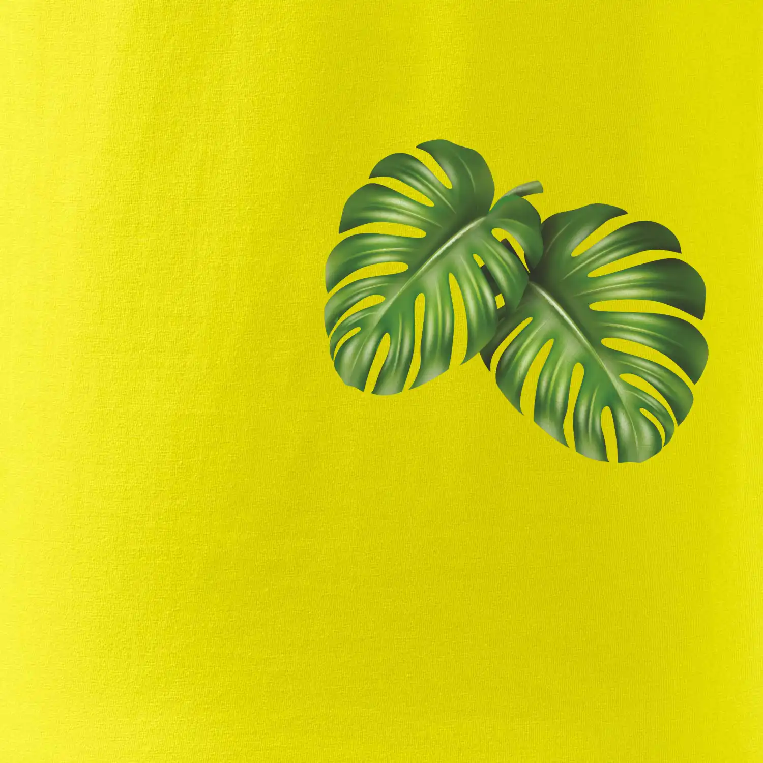 Monstera listy na prsu