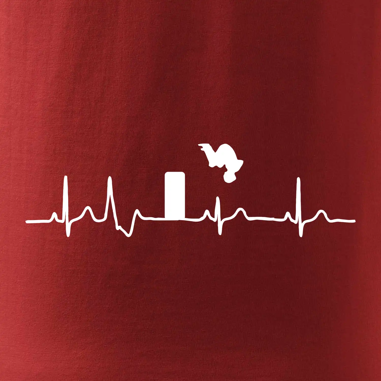 Parkour ekg