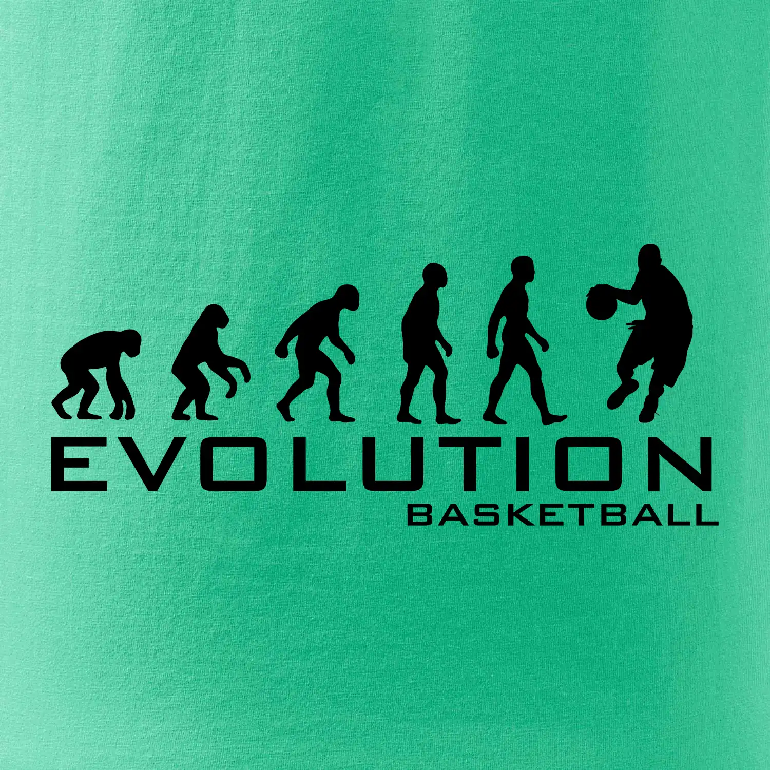 Evoluce Basketball