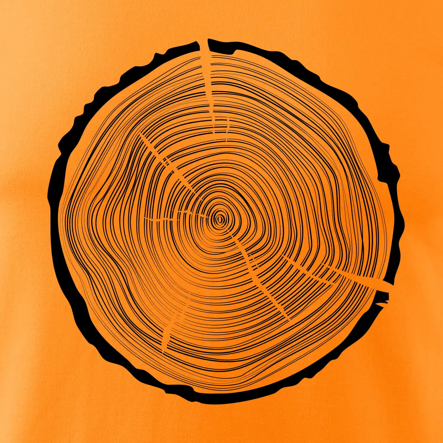 Letokruhy 50 bez věku