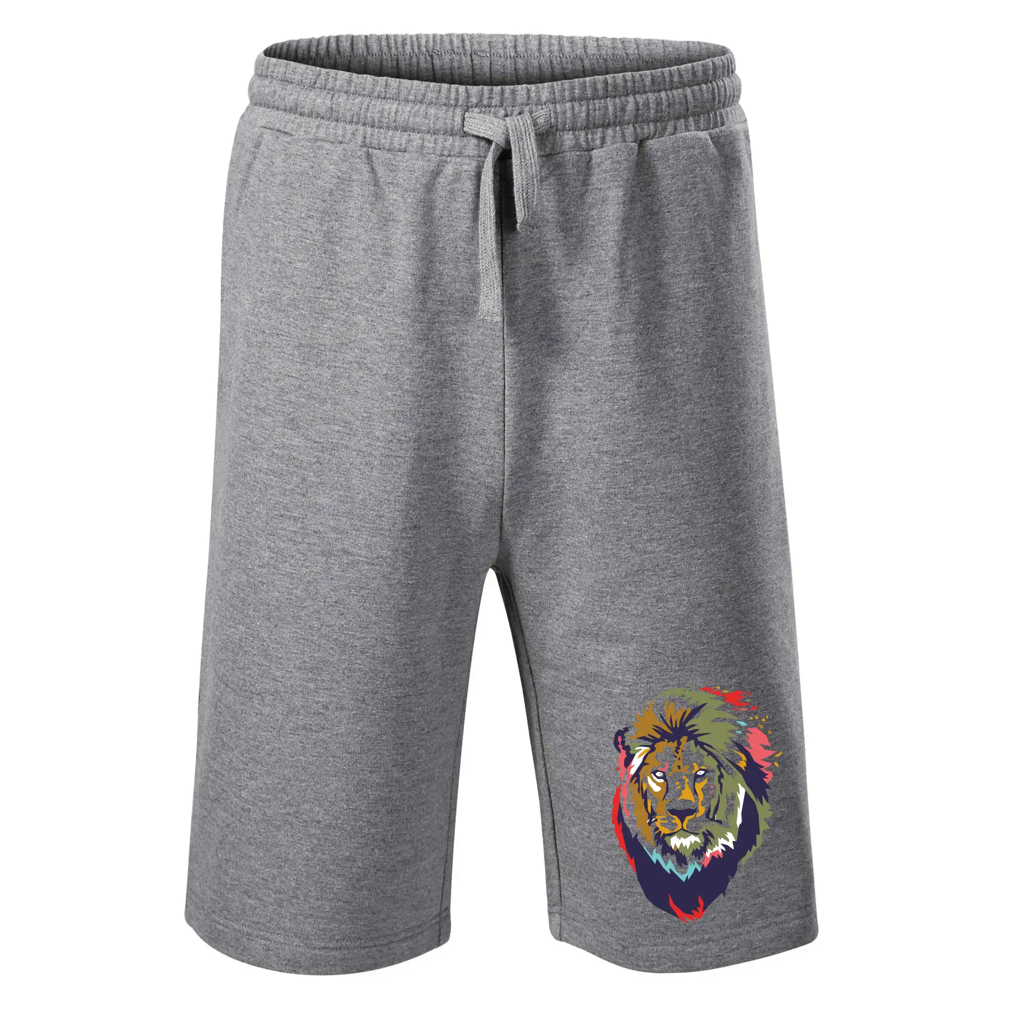 Hlava lva kreslená jednoduchá