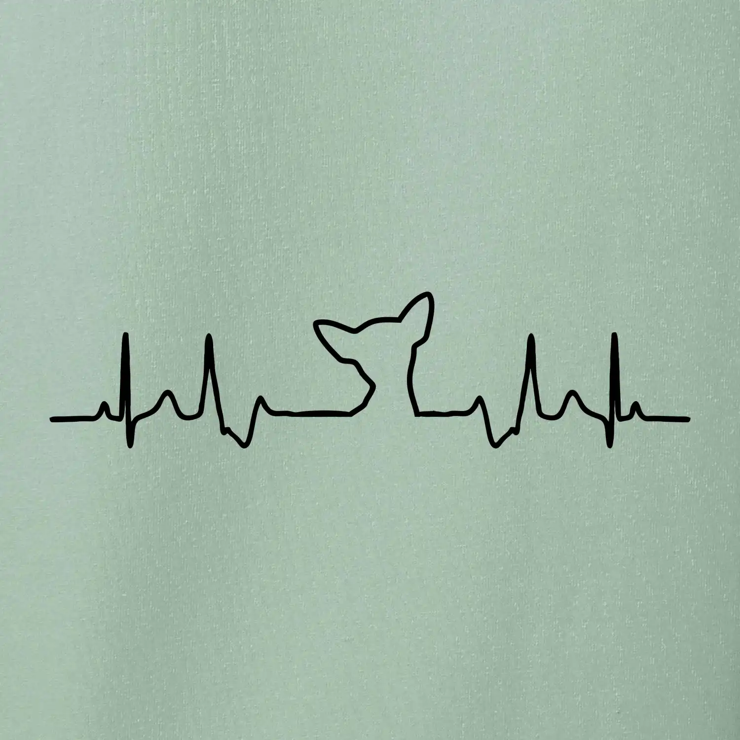 Čivava EKG