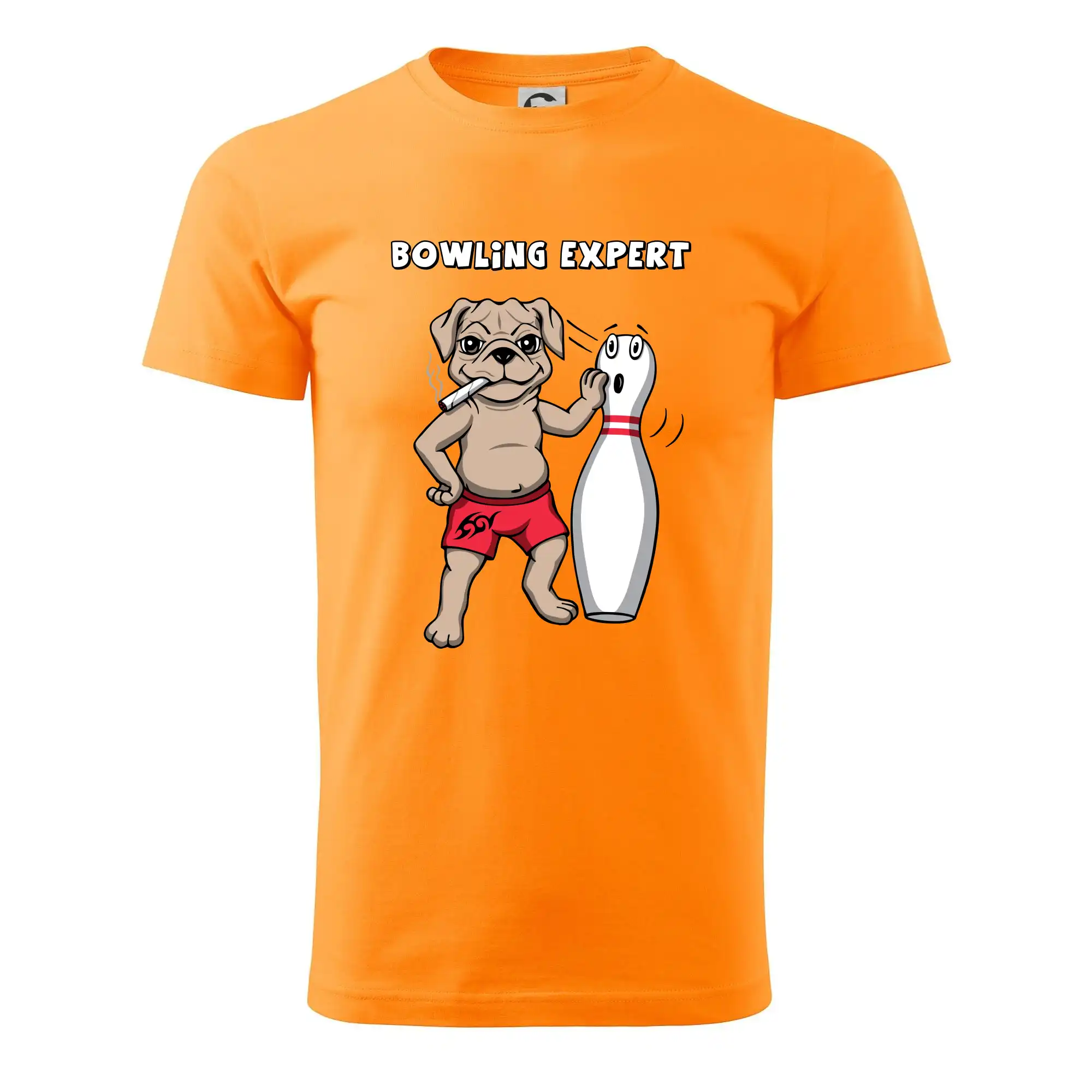 Tričká Bowling - Bowling expert (Hana-creative) - Pánske tričko nižšej gramáže