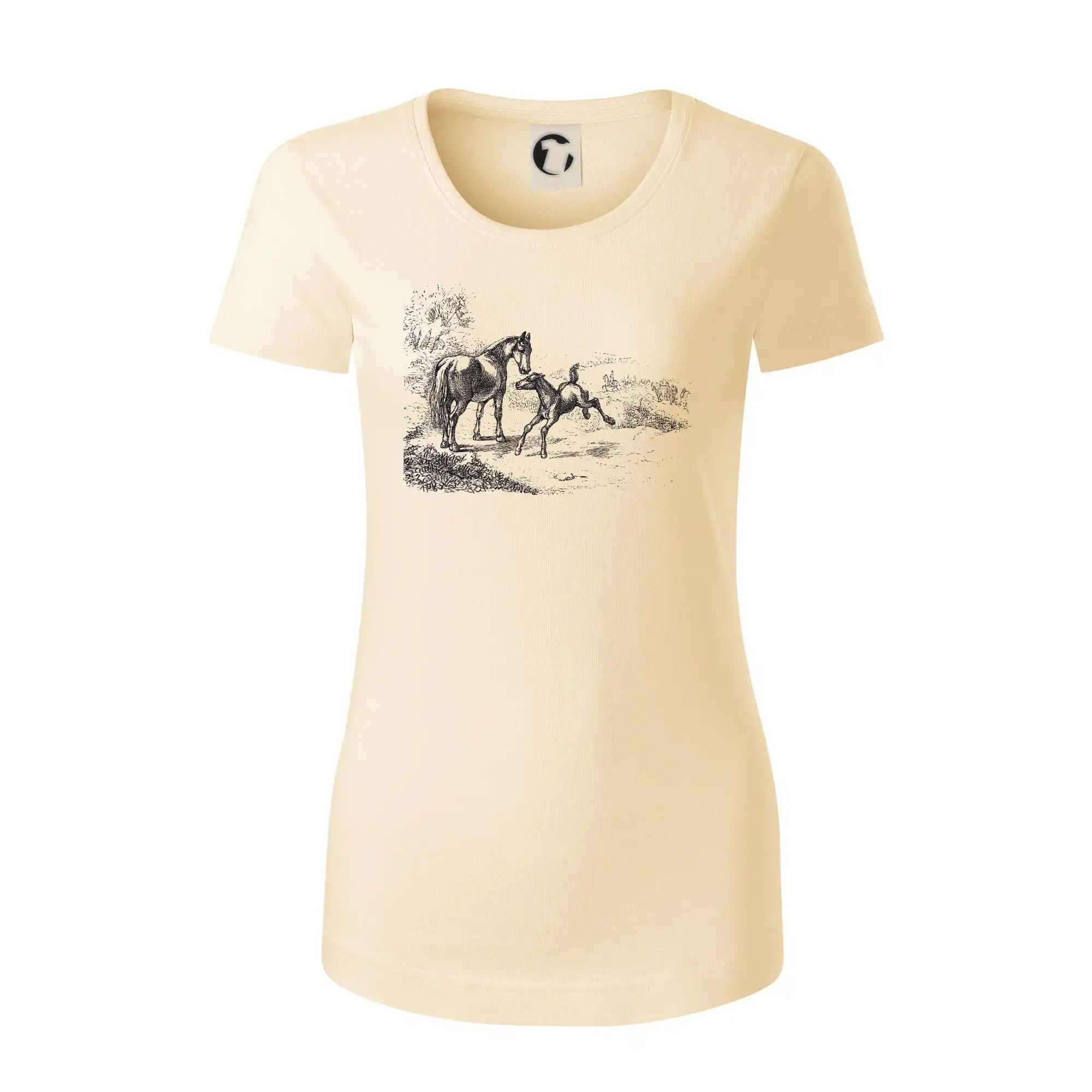 Kůň a hříbě malované