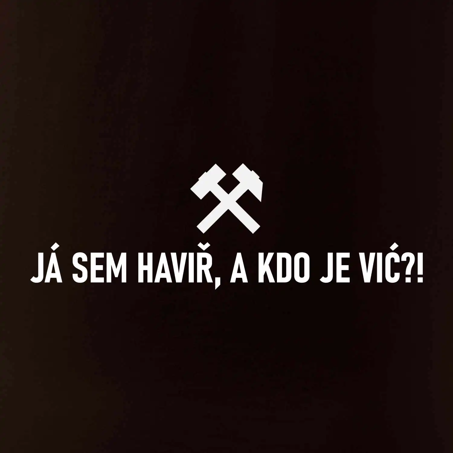 JÁ SEM HAVIŘ, A KDO JE VIĆ?!﻿