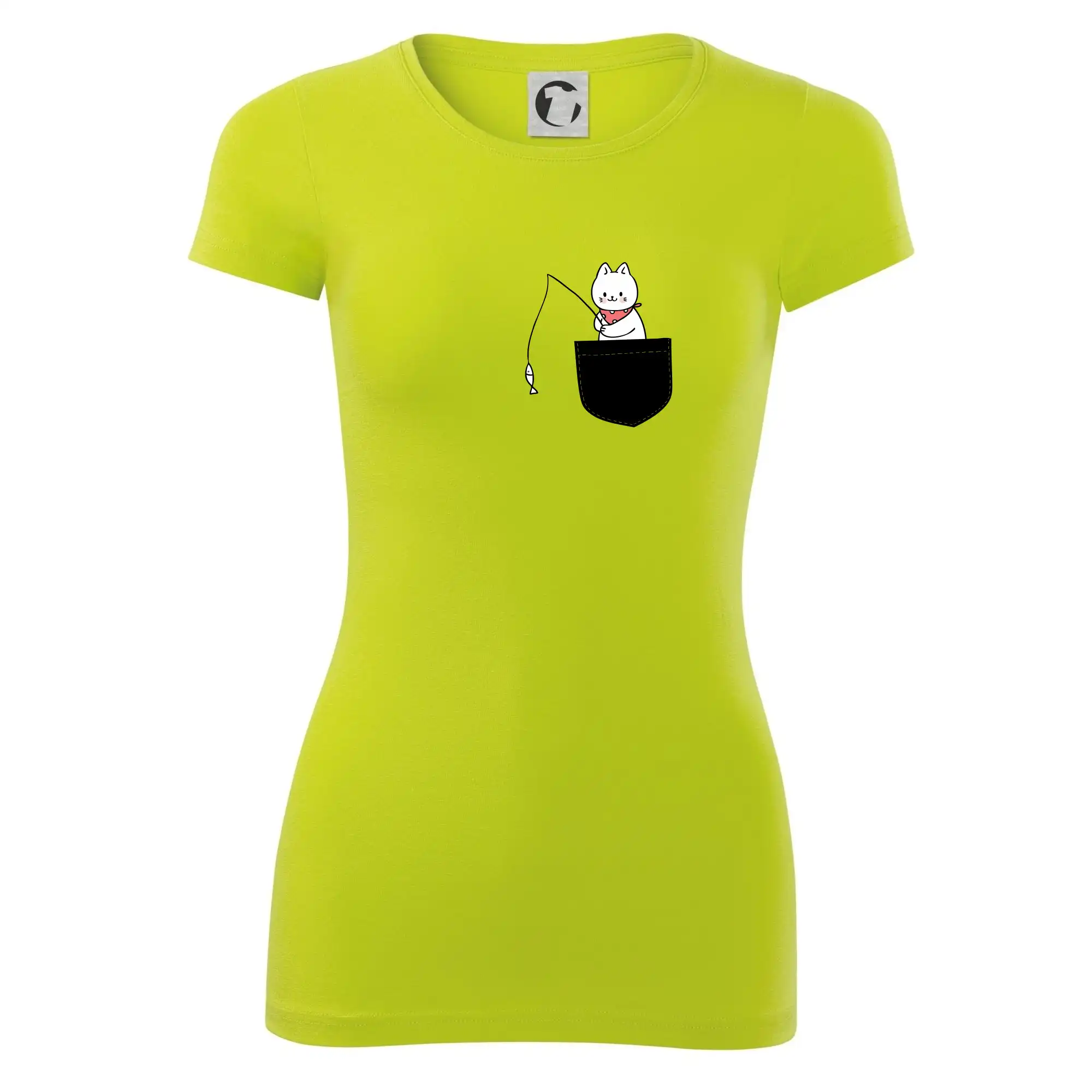 Kočka s rybou v kapse