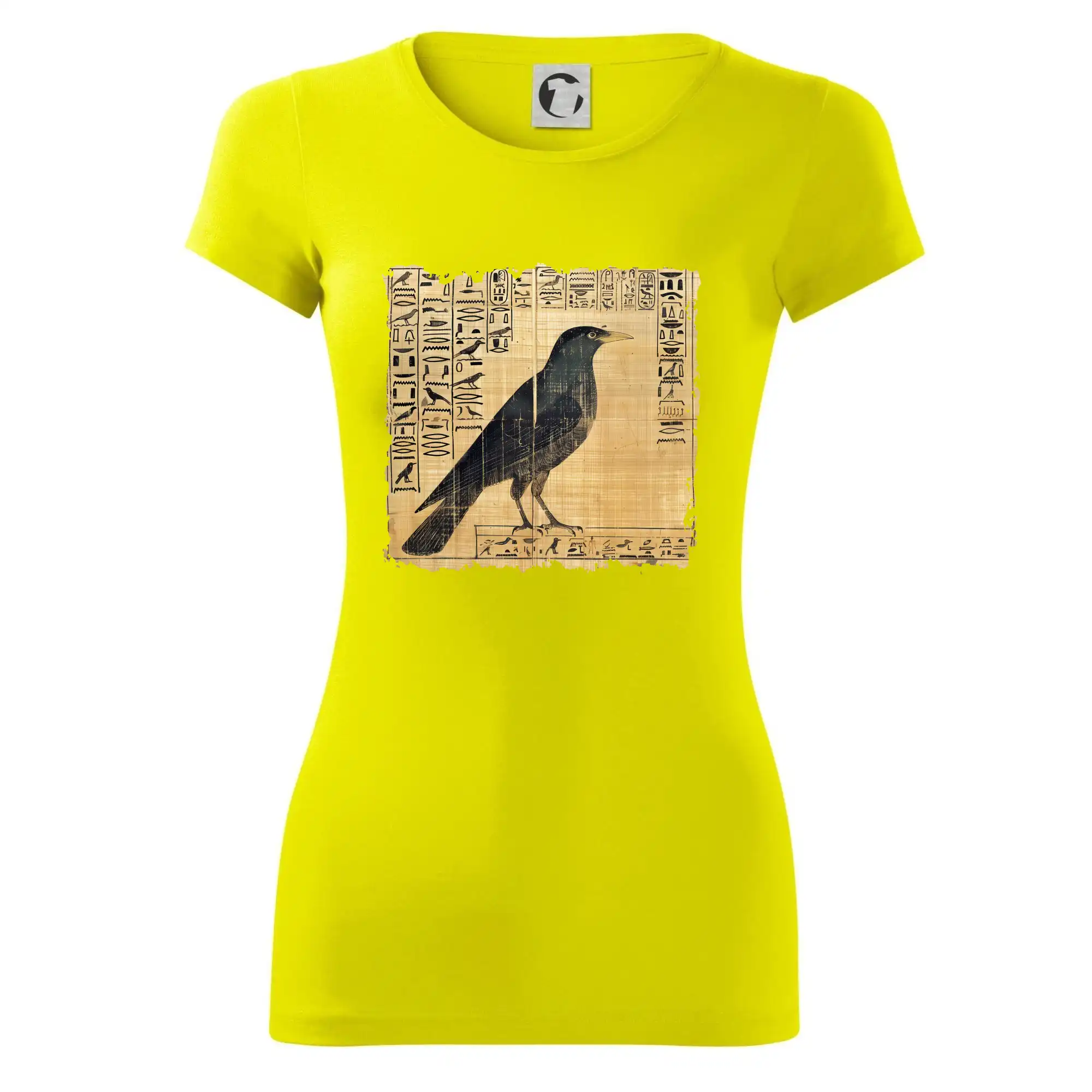 Egyptské hieroglyfy pták