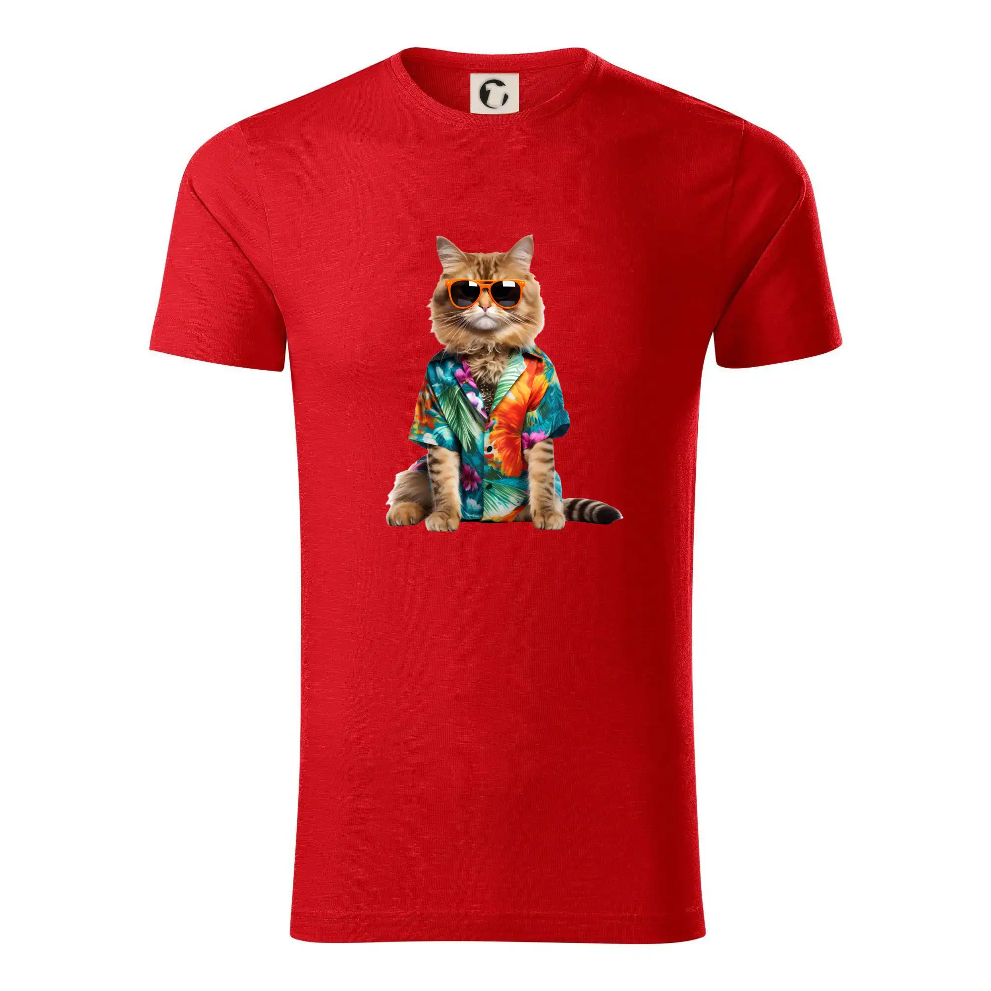 Kočka v létě