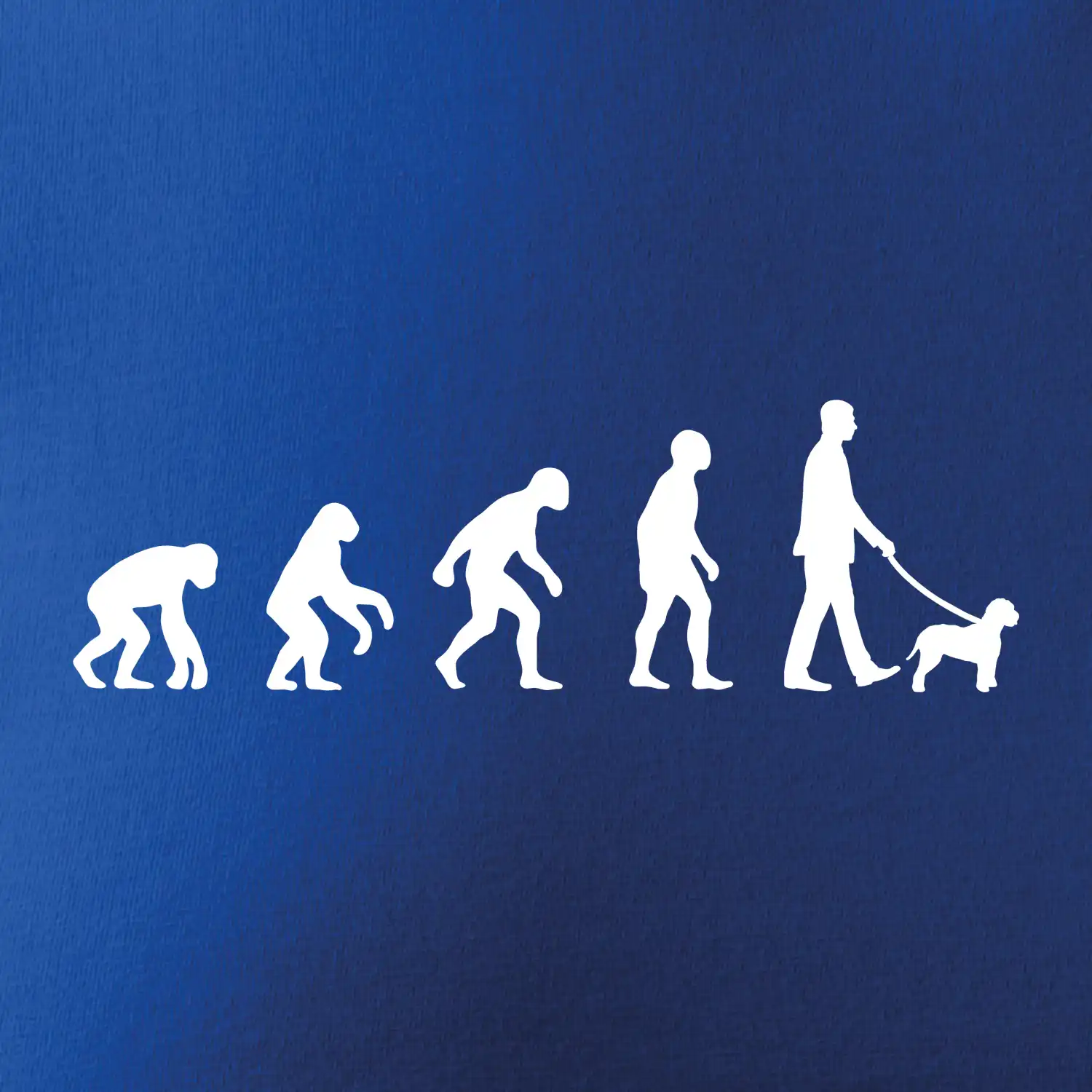 Lagotto romagnolo Evoluce muž / žena