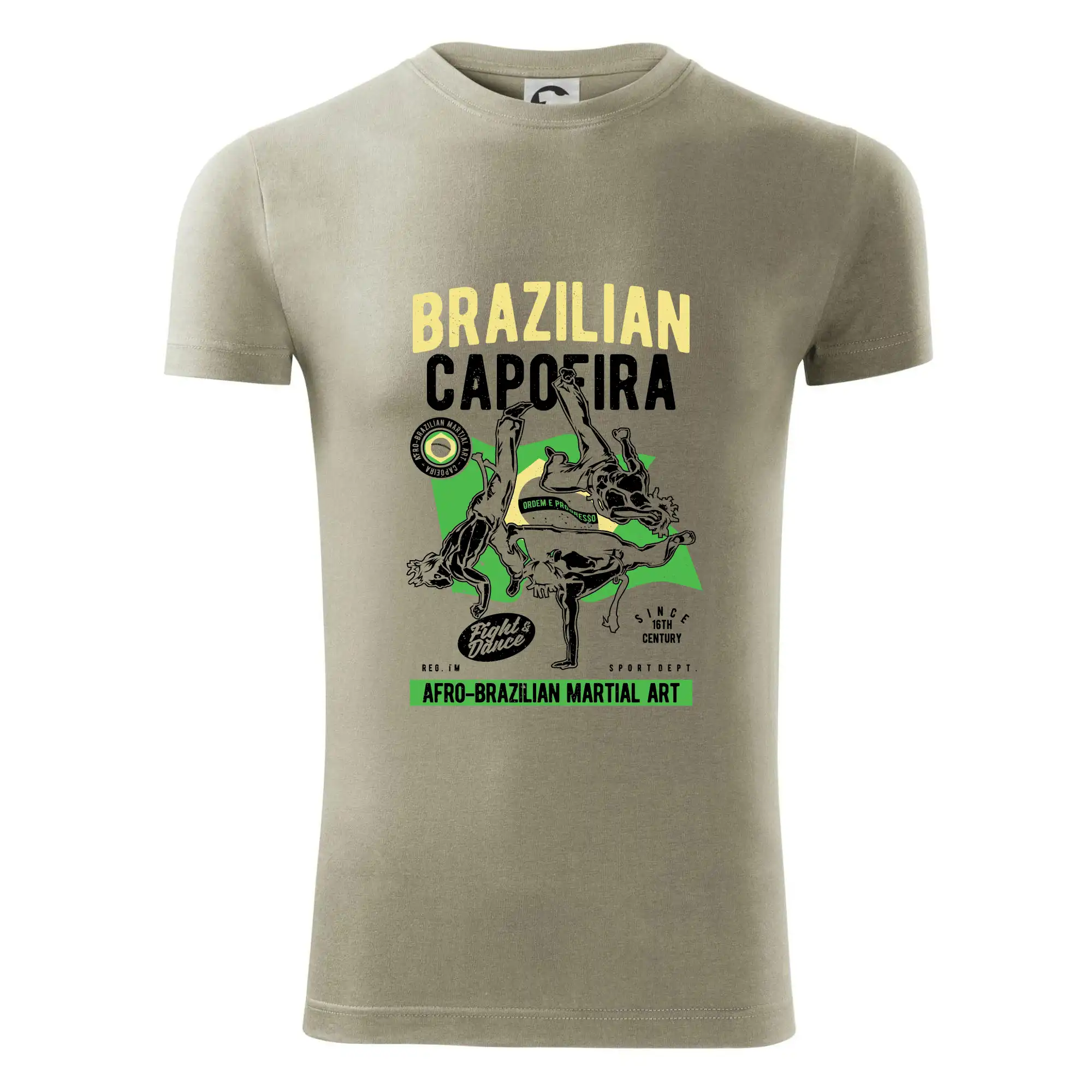 Brazilian Capoeira