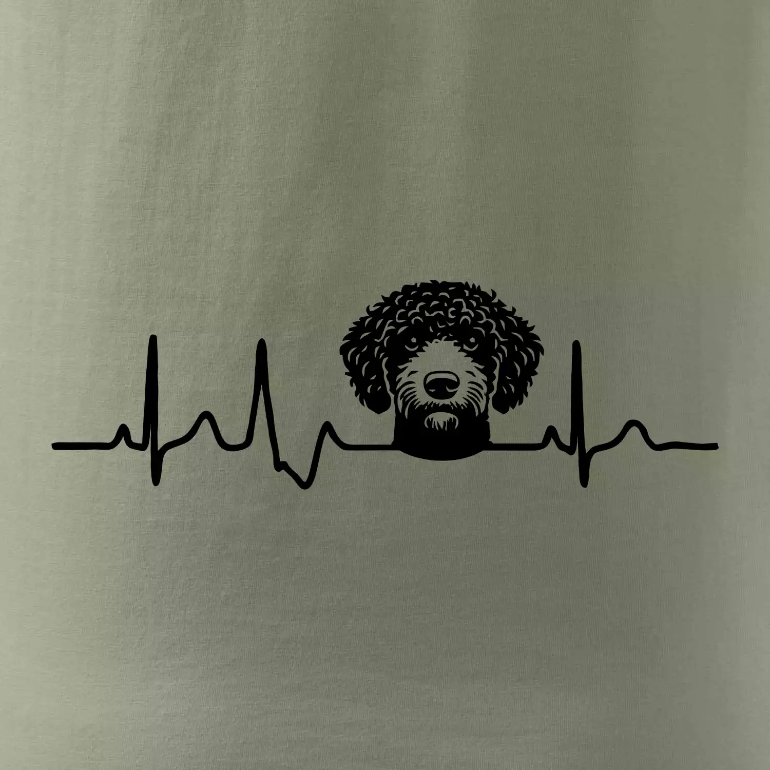 Lagotto romagnolo hlava EKG