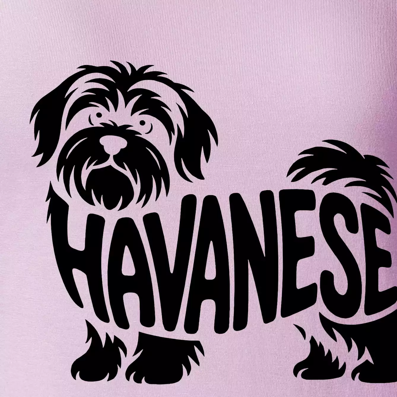 Havanese nápis v těle