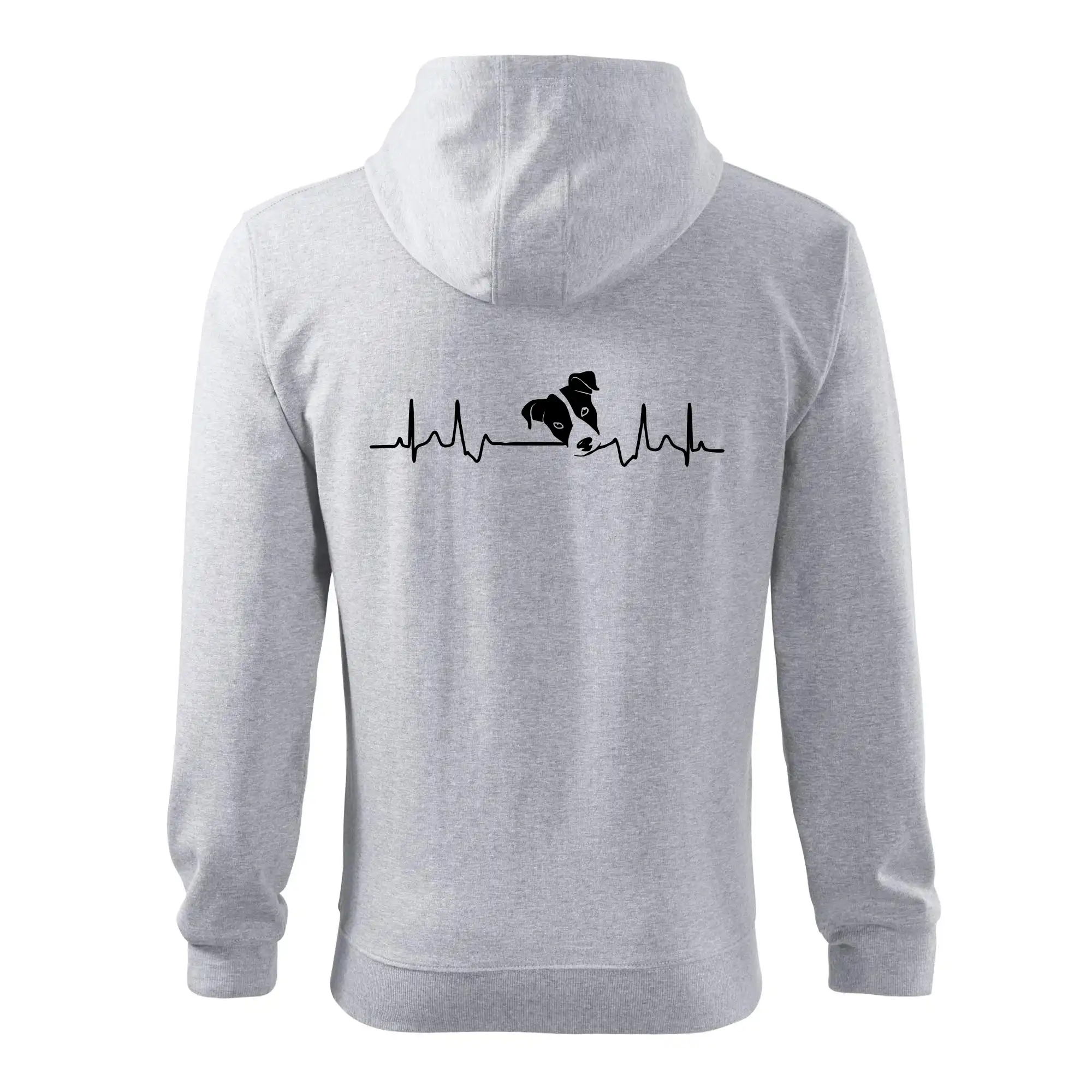 Jack Russell Terriér Ekg