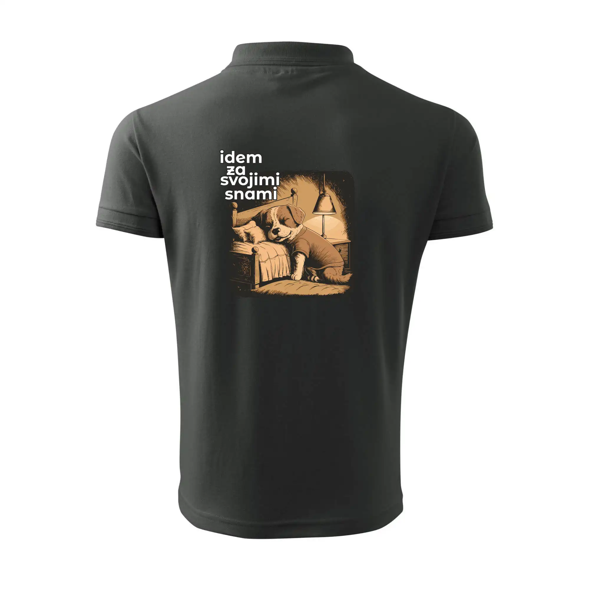 Idem za svojimi snami