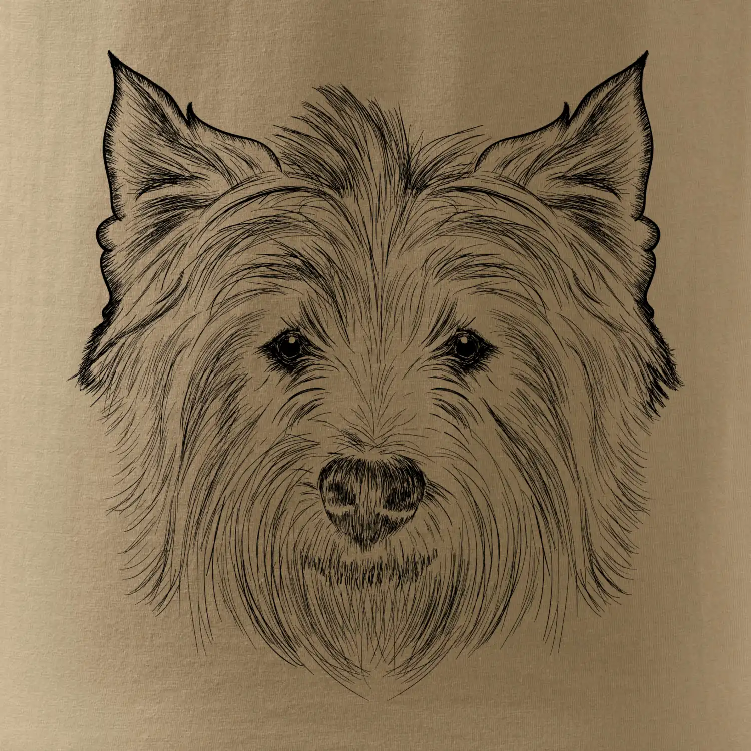 Teriér kresba