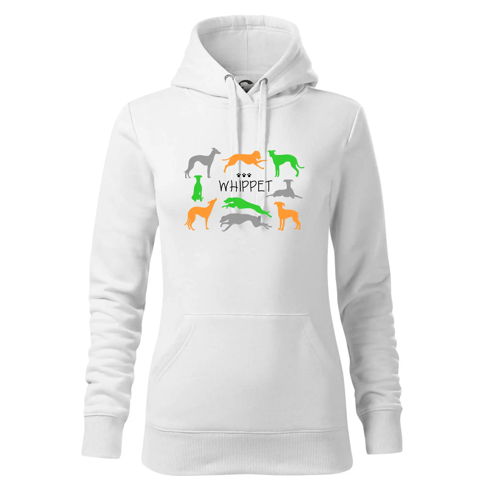 Whippet barevný