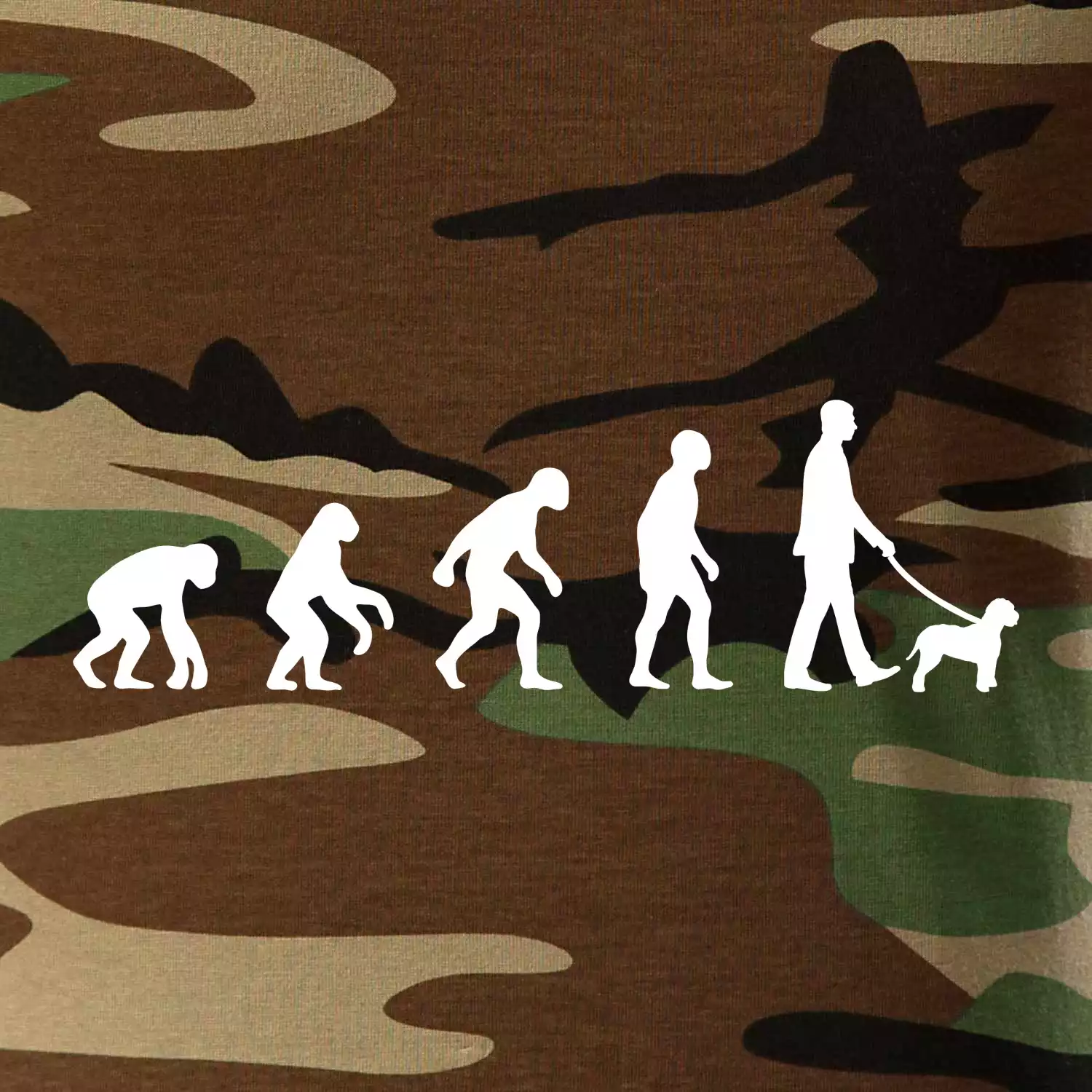 Lagotto romagnolo Evoluce