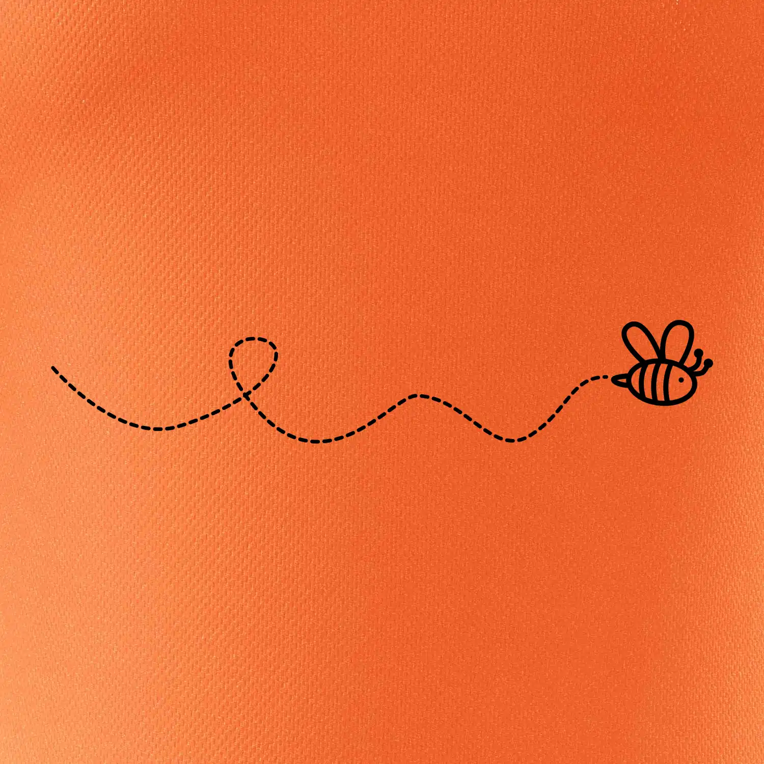 Dráha letu včely - vlnovka