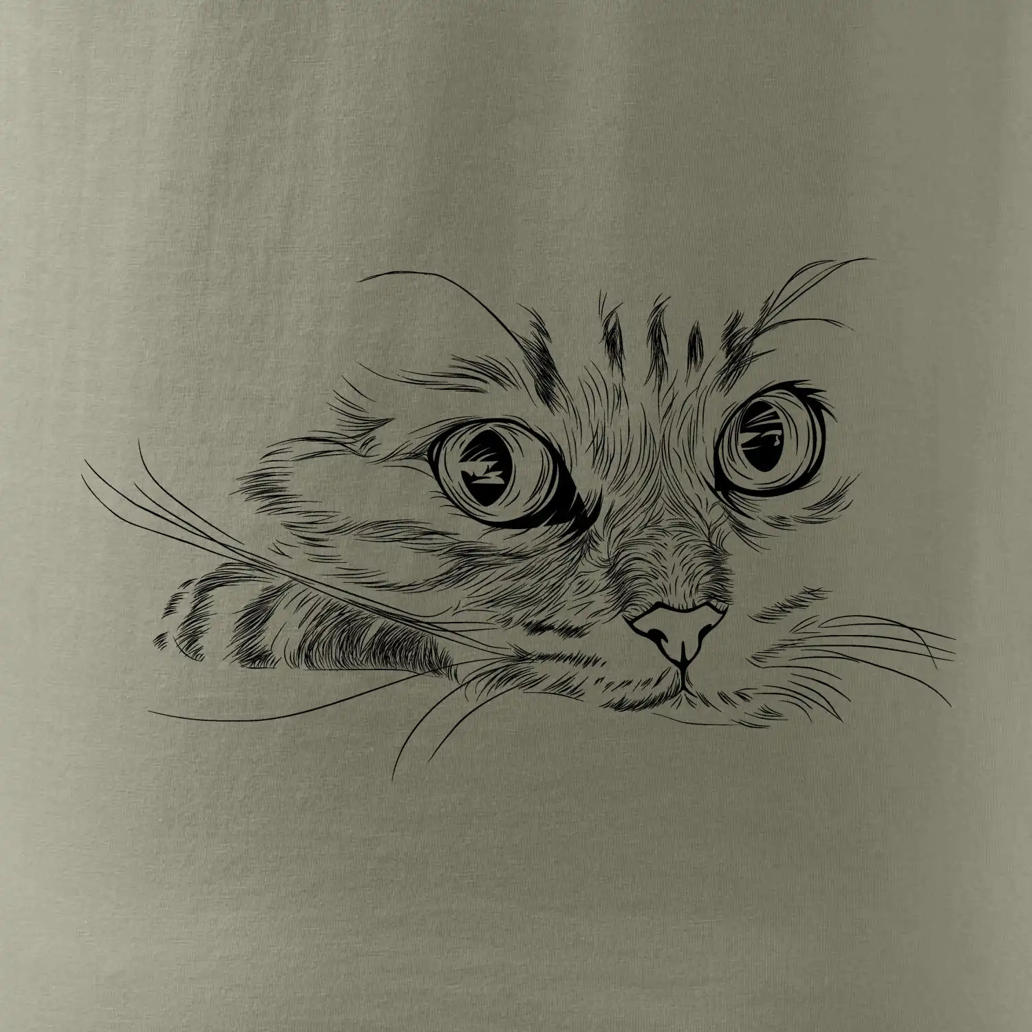 Kočka obličej kreslený