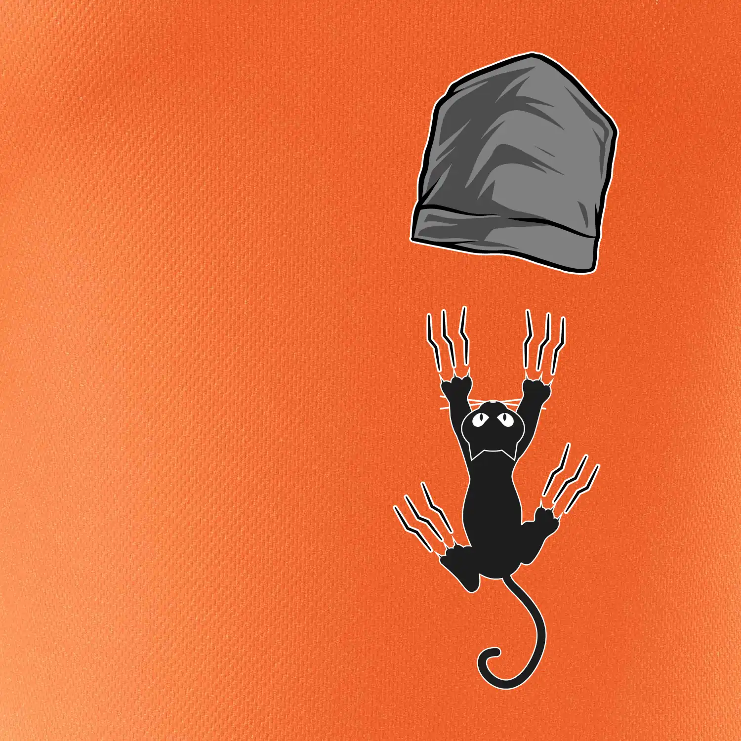 Kočka vypadla z kapsy