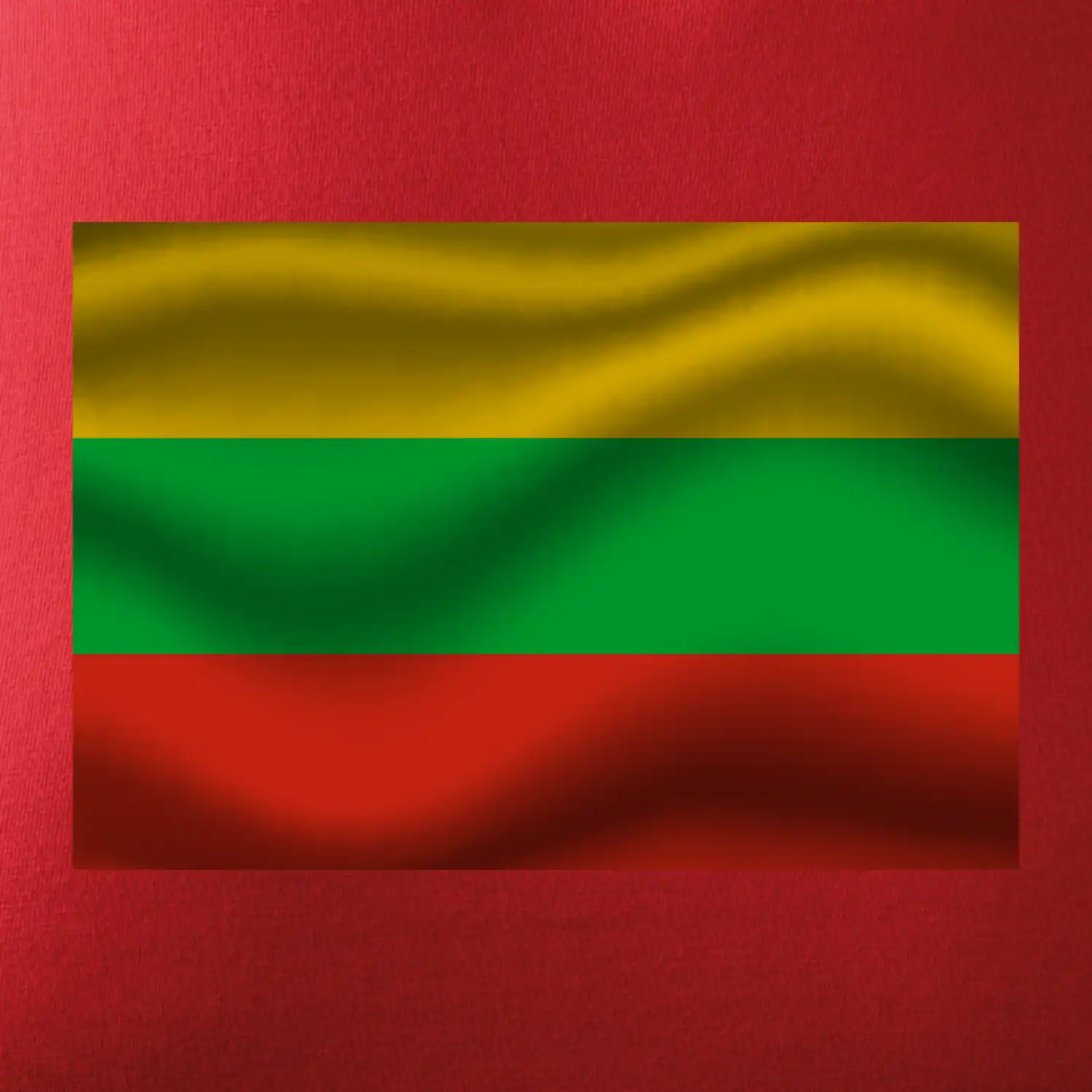 Litva vlajka obdélník
