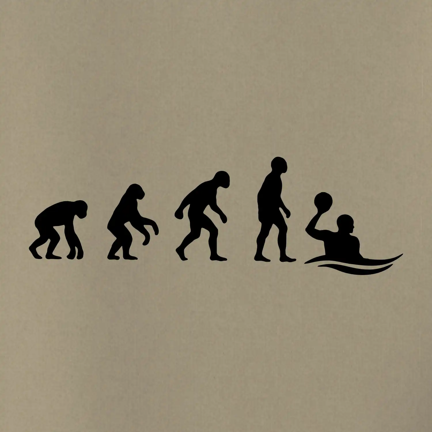 Evoluce Vodní pólo