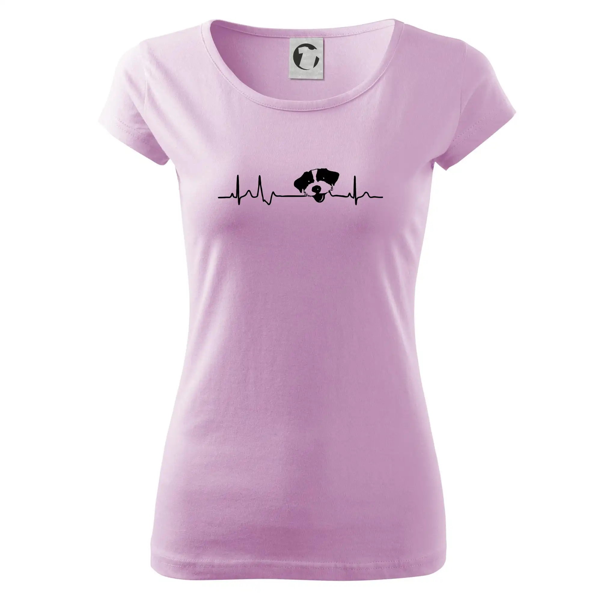 Jack Russell Terriér hrubosrstý Ekg