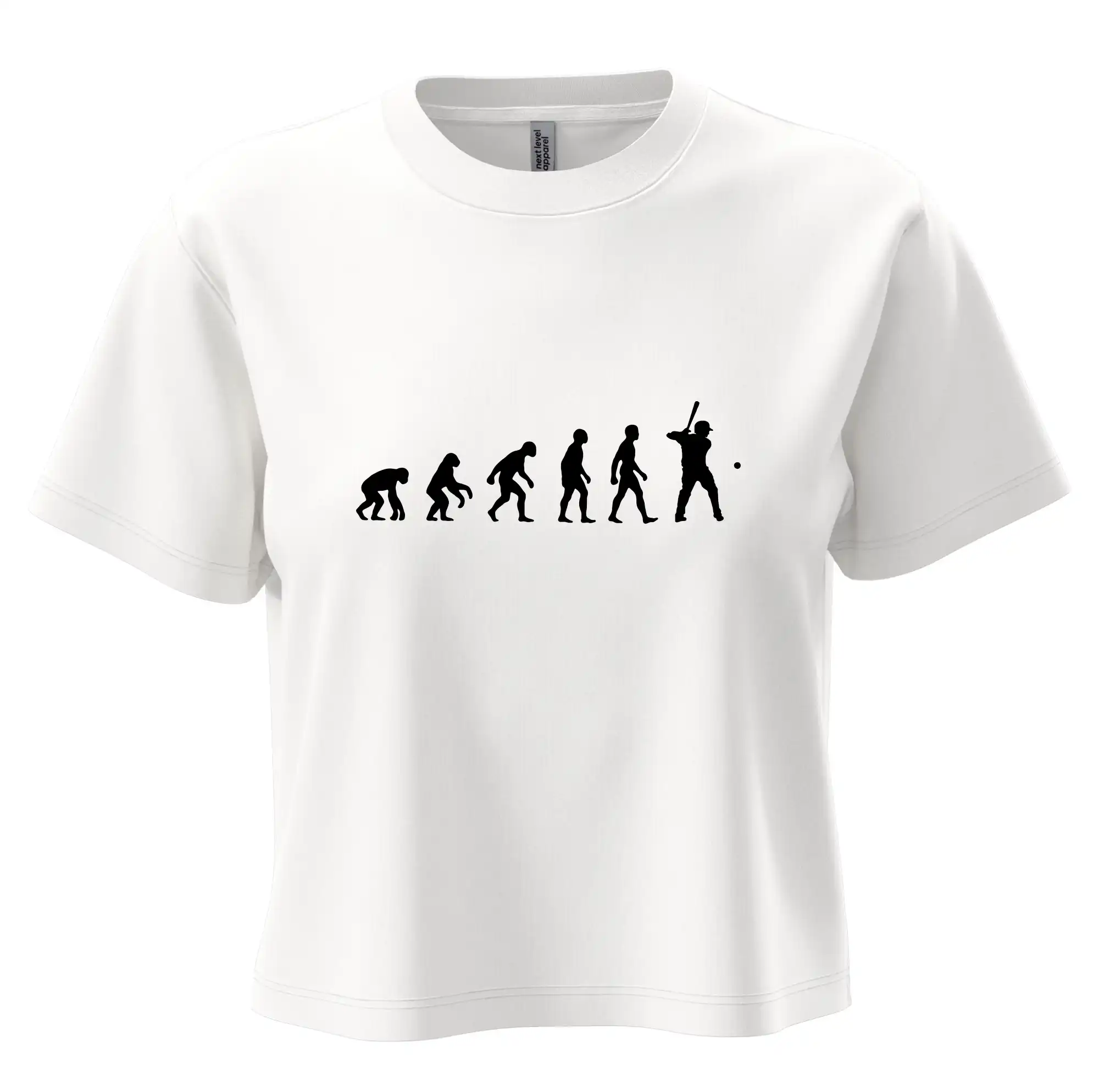Evoluce baseball pálkař nápřah + míček