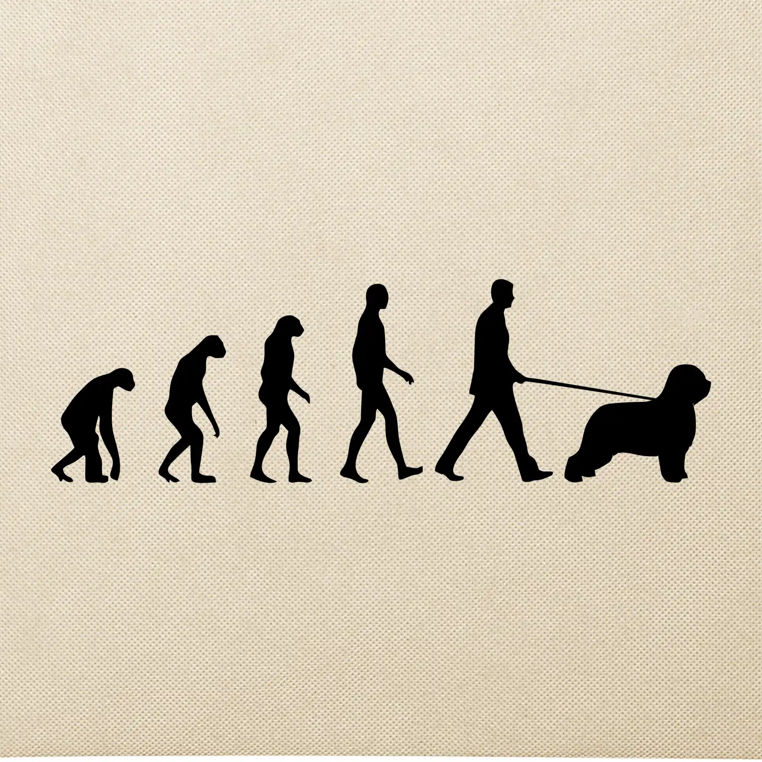 Evoluce pes Briard