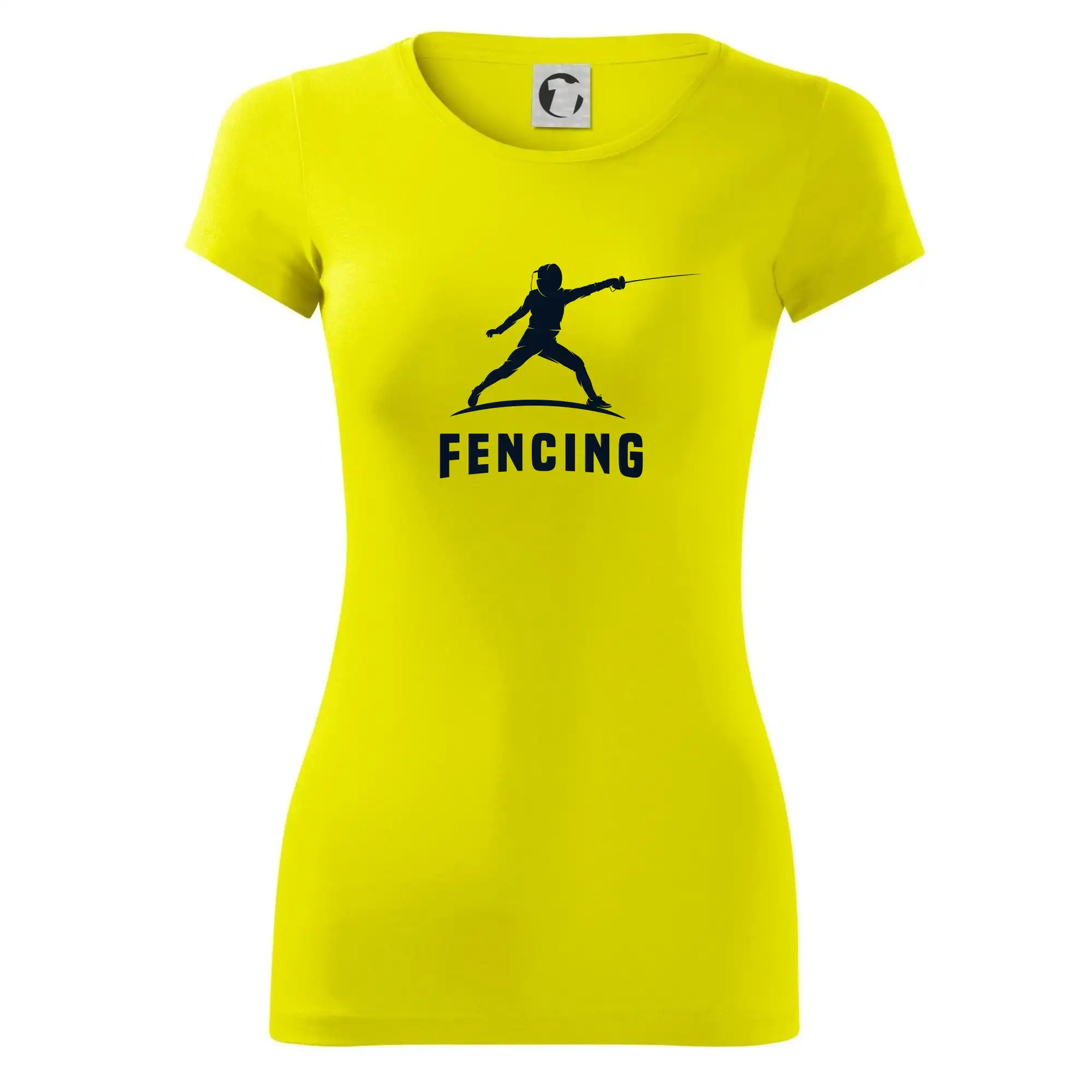 Fencing (šerm) - postava