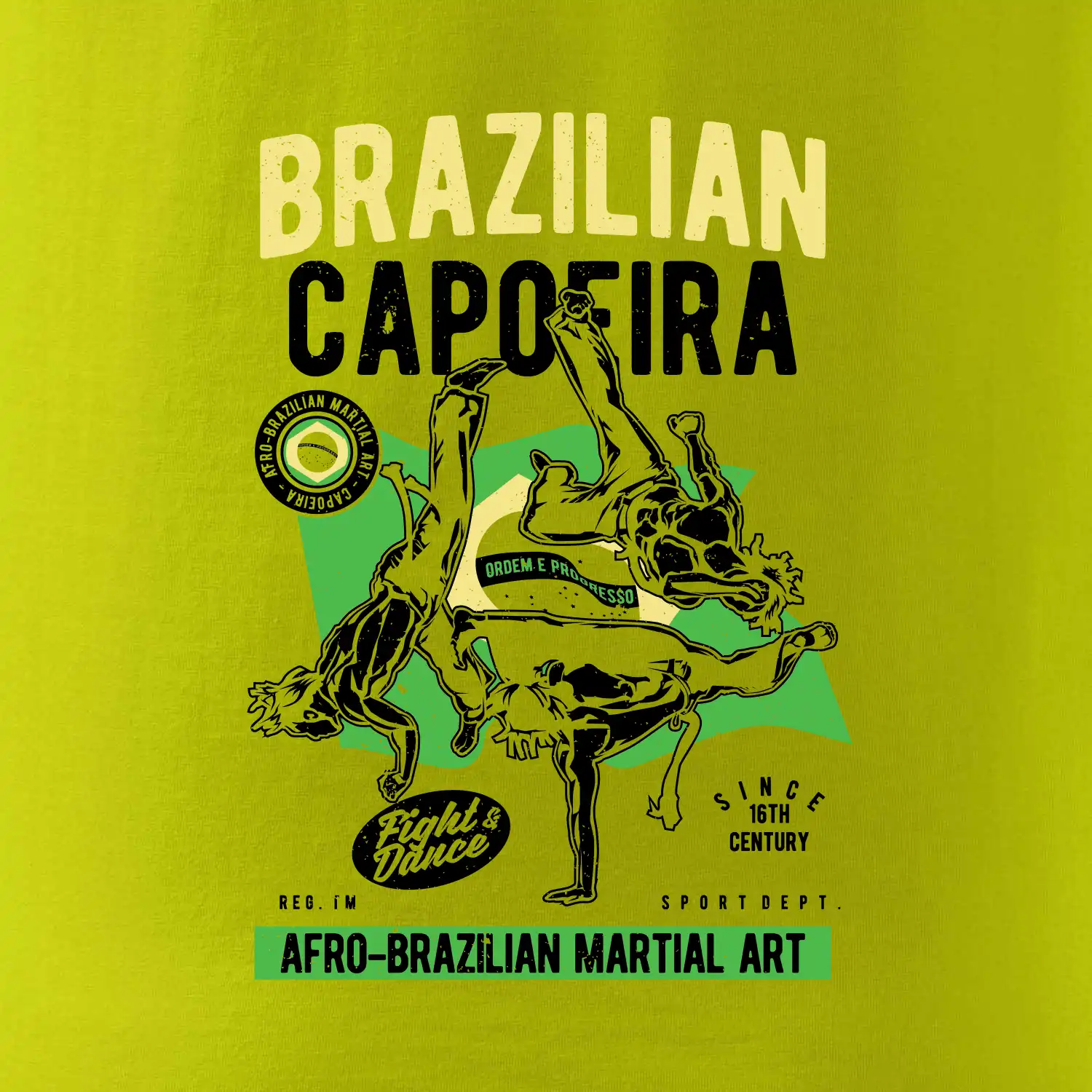Brazilian Capoeira