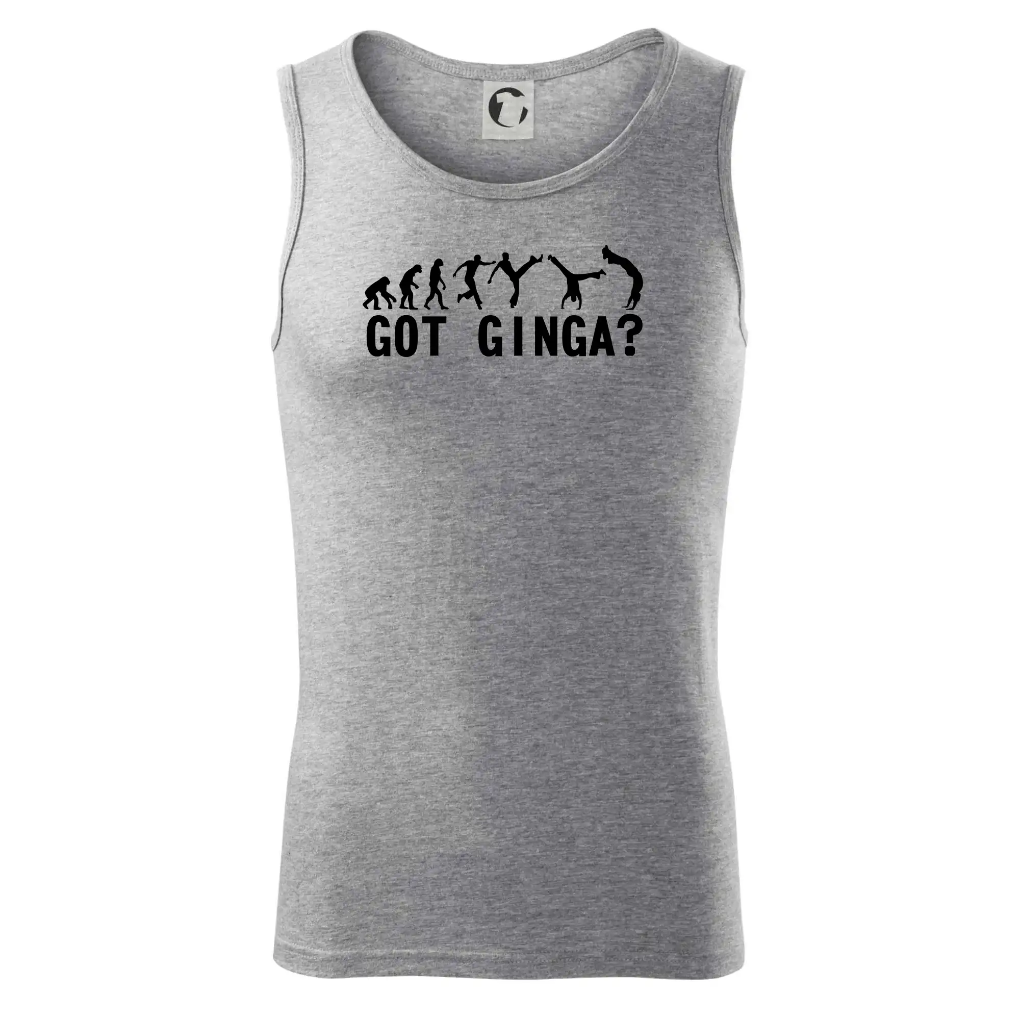 Capoeira - Got Ginga