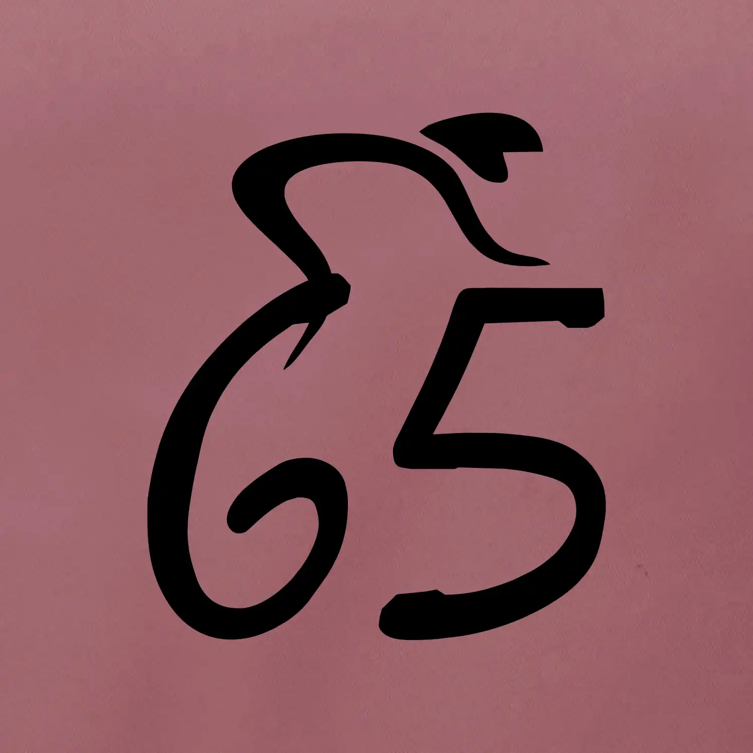 Cyklista slaví pětašedesátku (65)