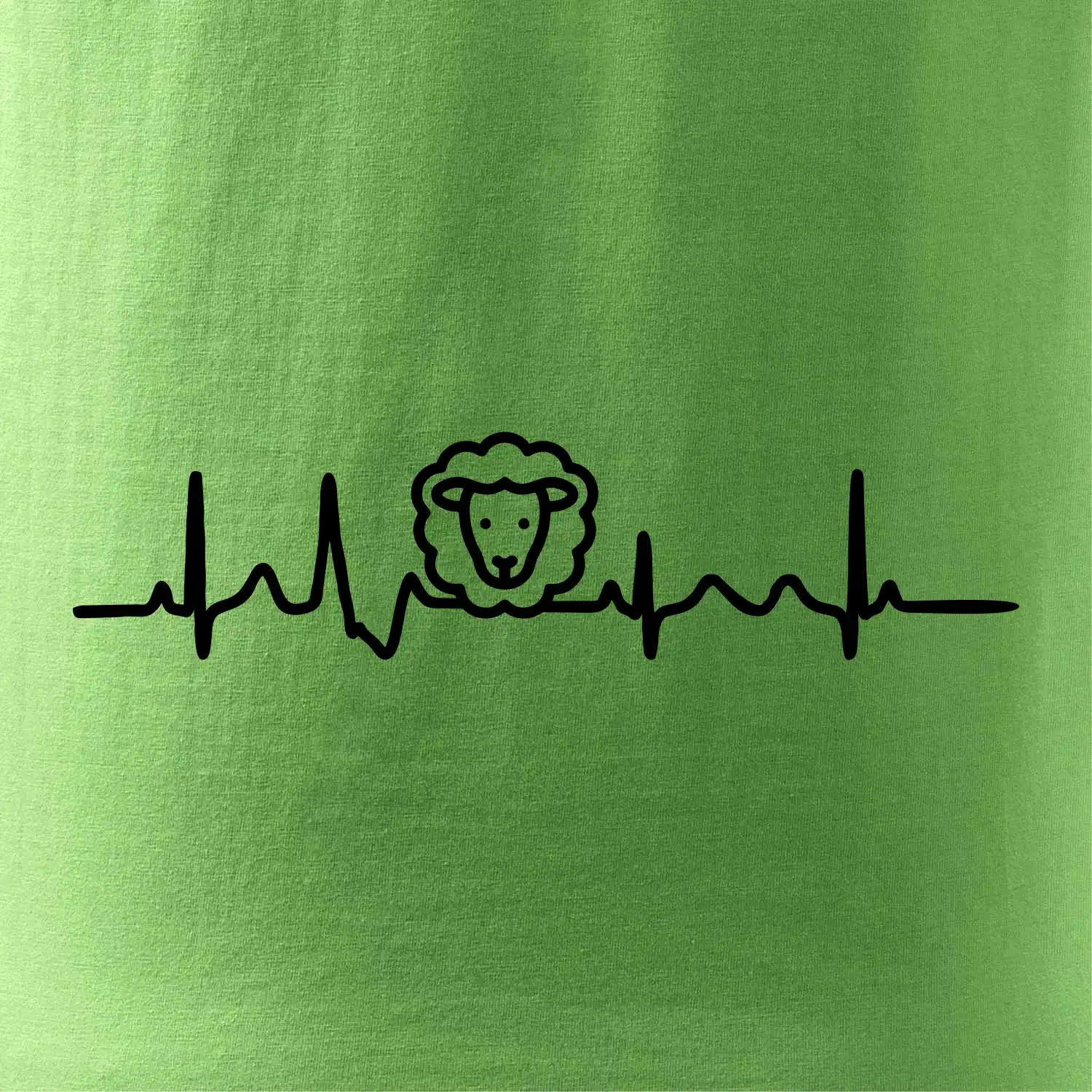 Ekg ovce