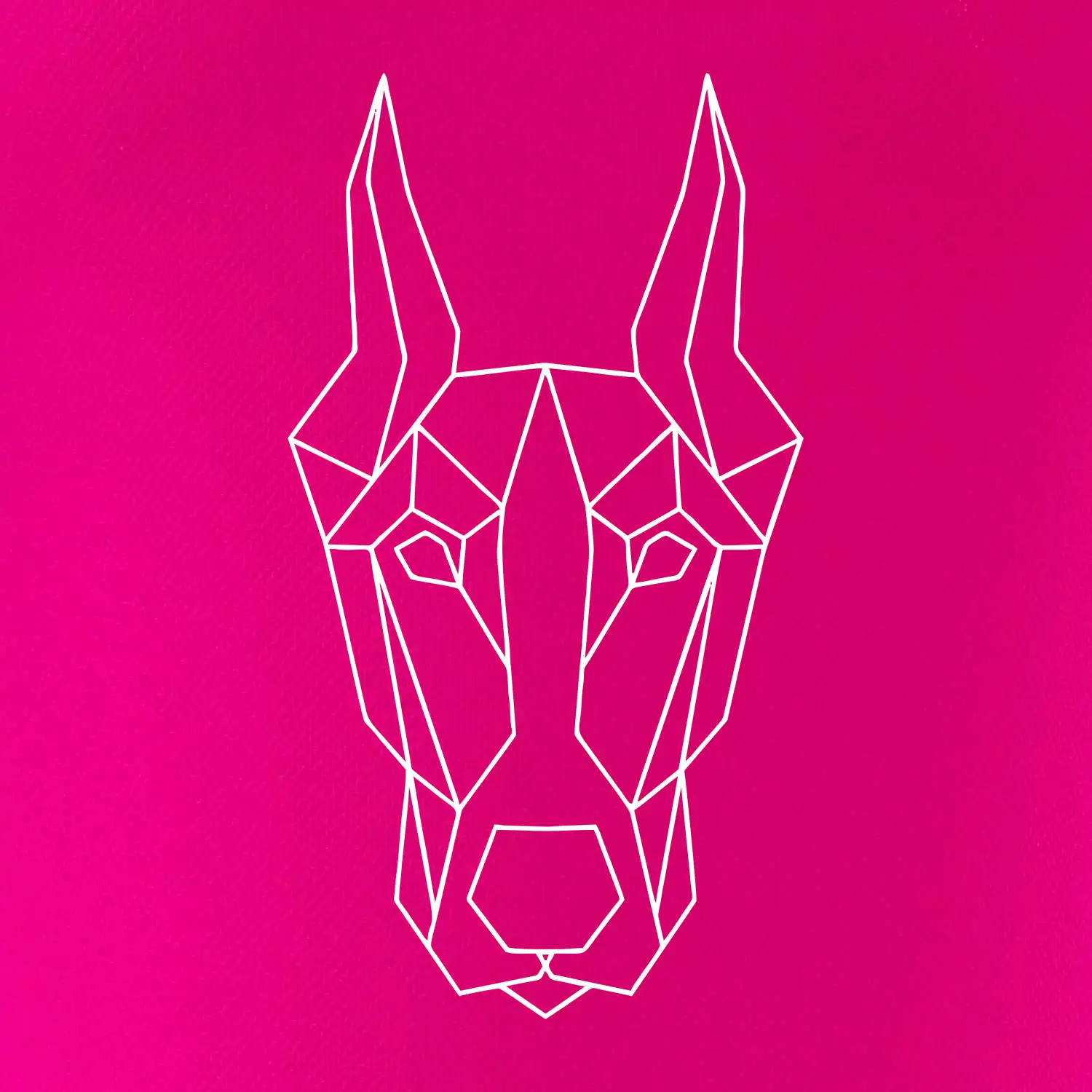 Dobrman - Geometrie