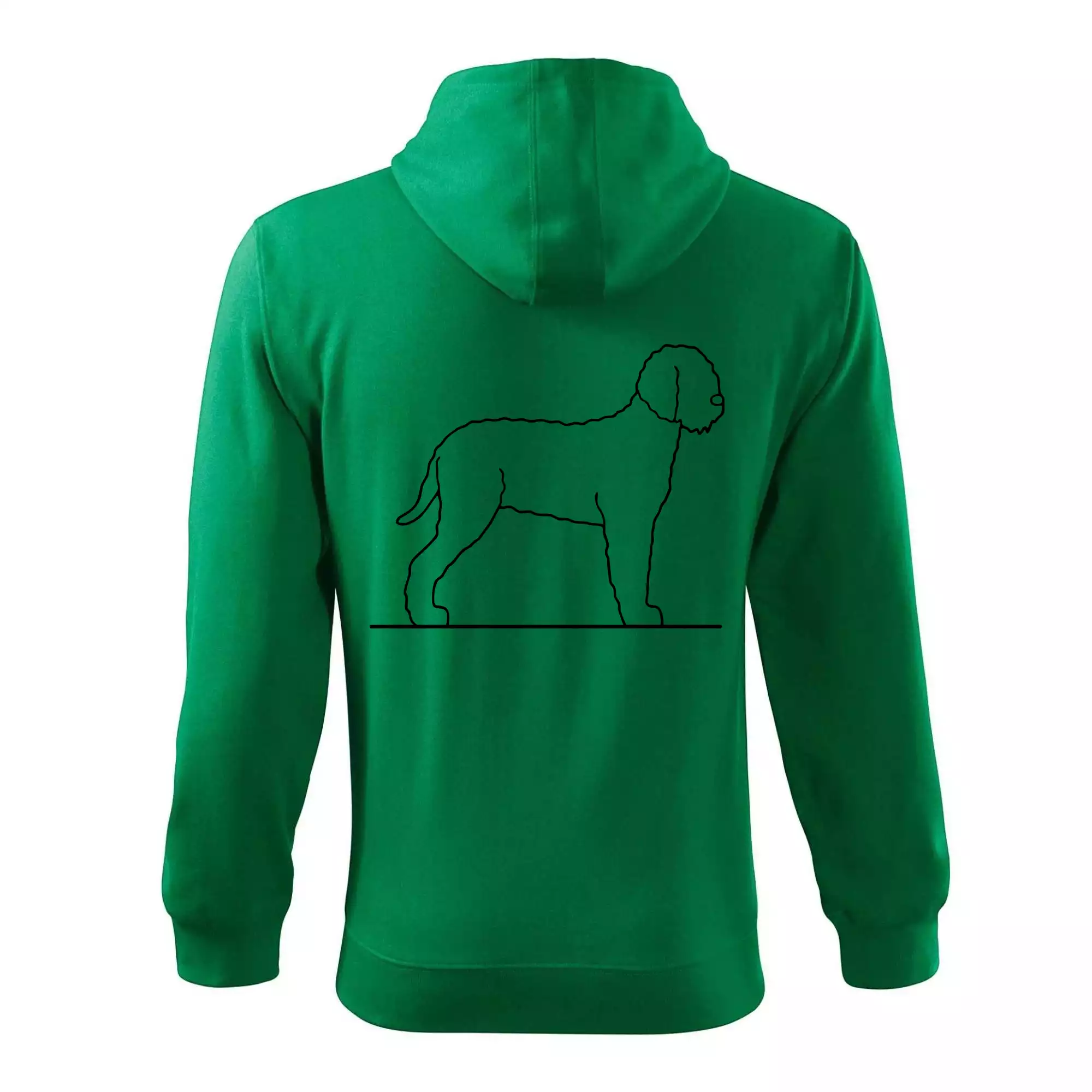 Lagotto romagnolo stojící