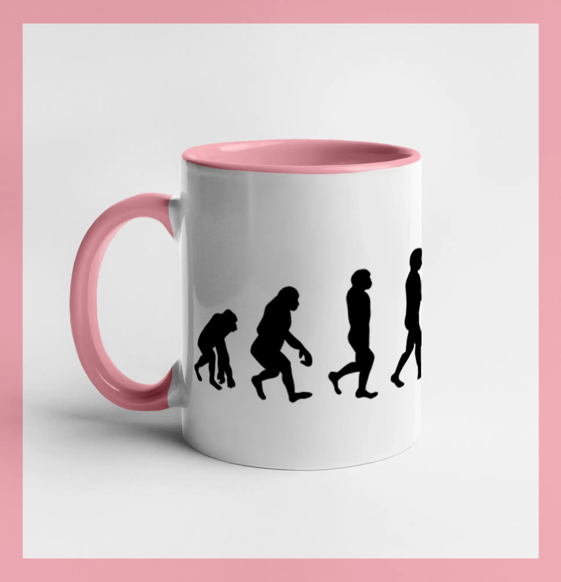 Evolúcia sklípek