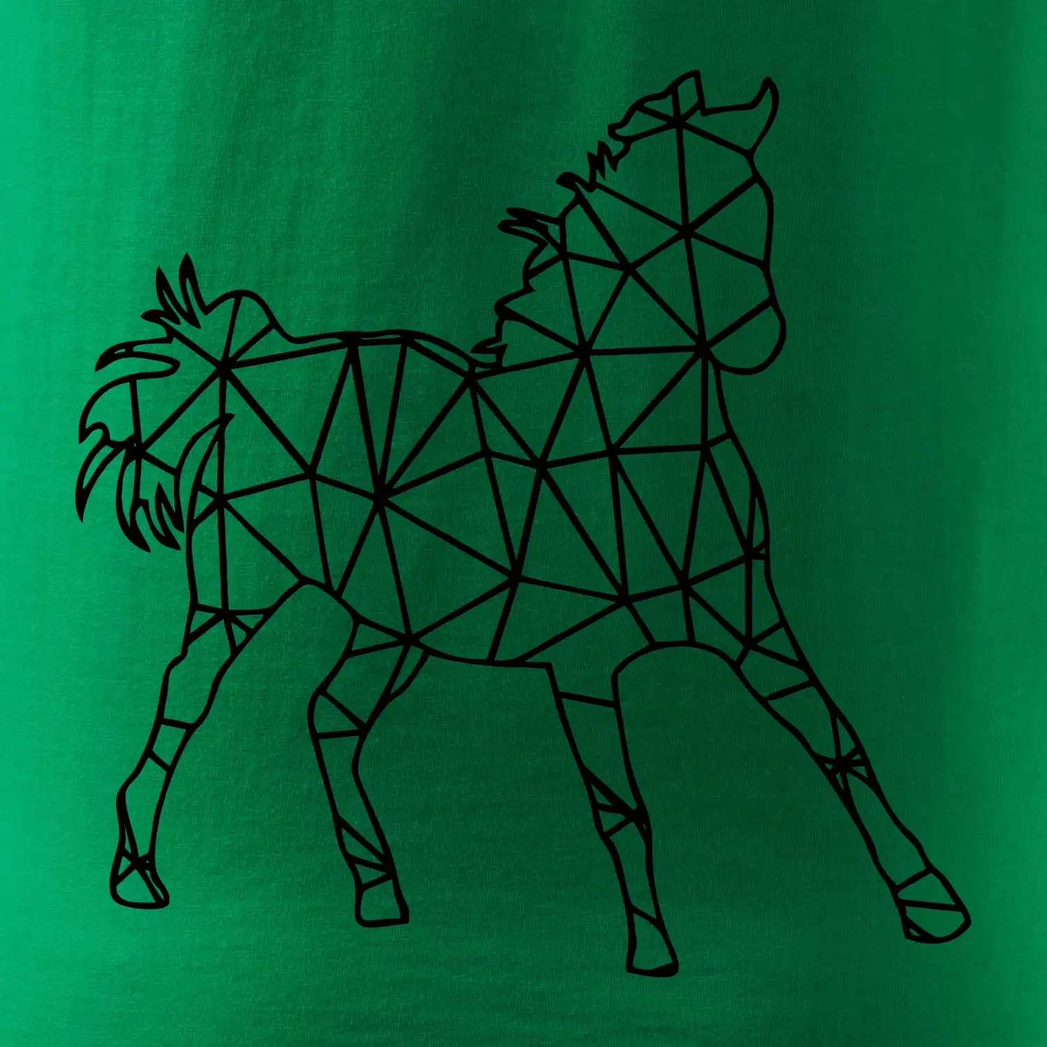 Geometrie - kůň