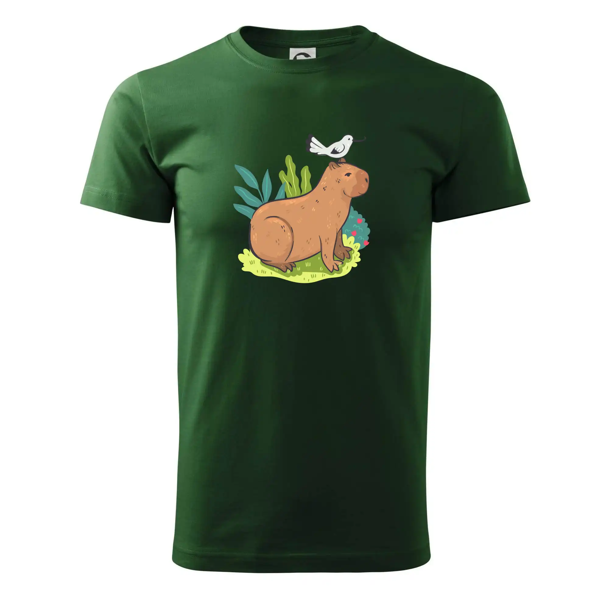Kapybara a ptáček